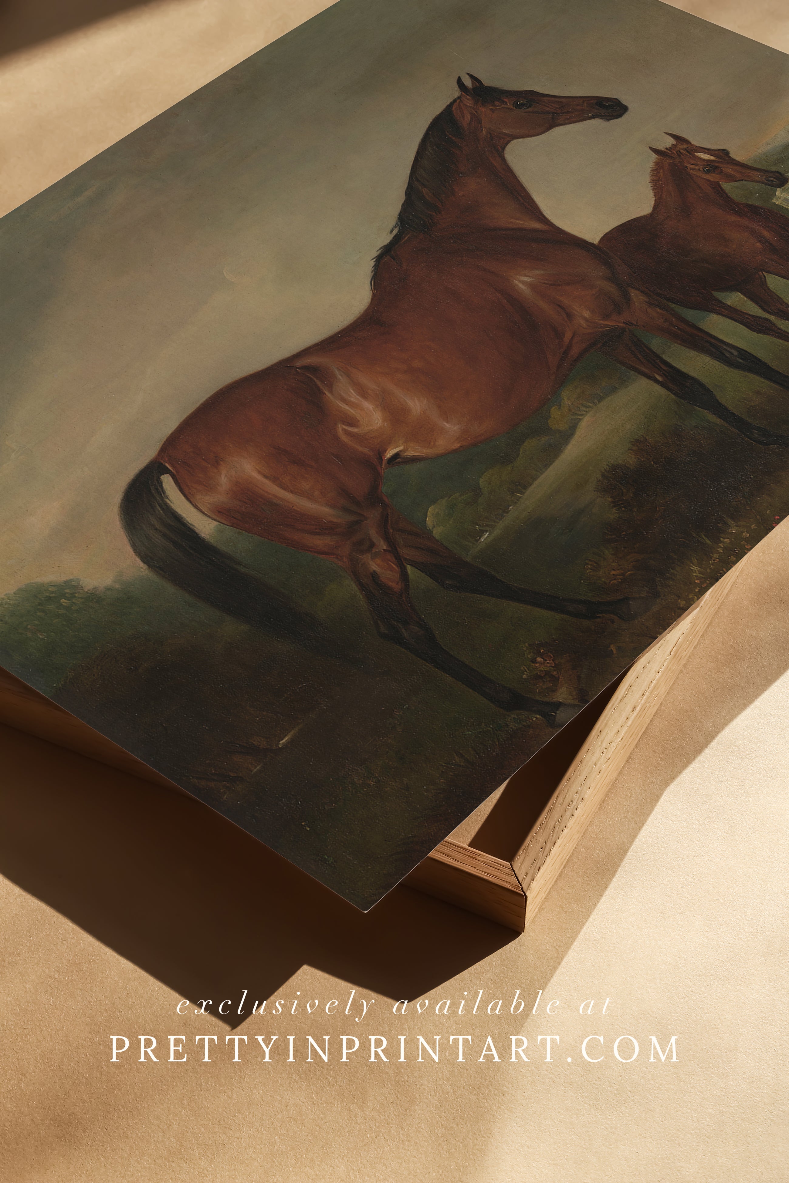 Framed vintage equestrian art print featuring antique horse illustration, perfect for traditional interiors and country home decor