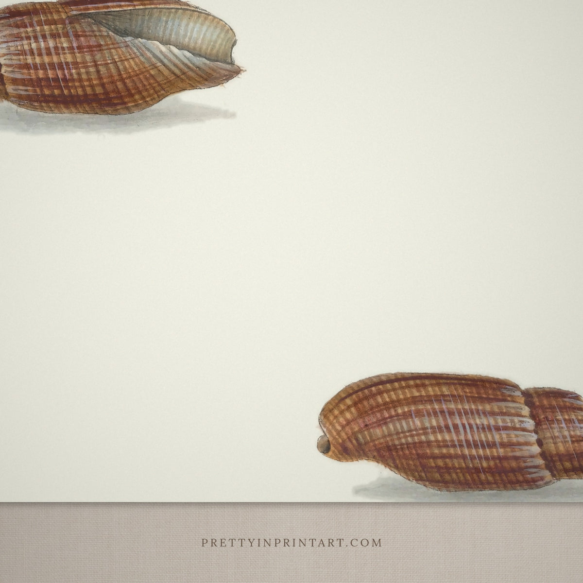 Close-up detail of the vintage rust mitre shells print
