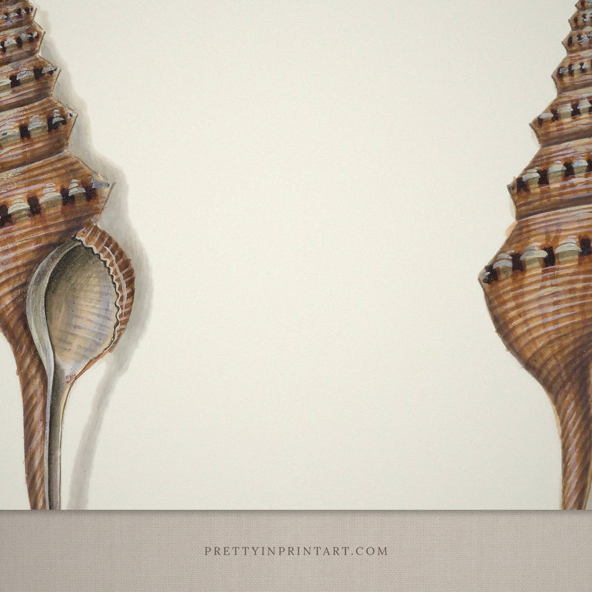 Close-up detail of the vintage spindle shells print