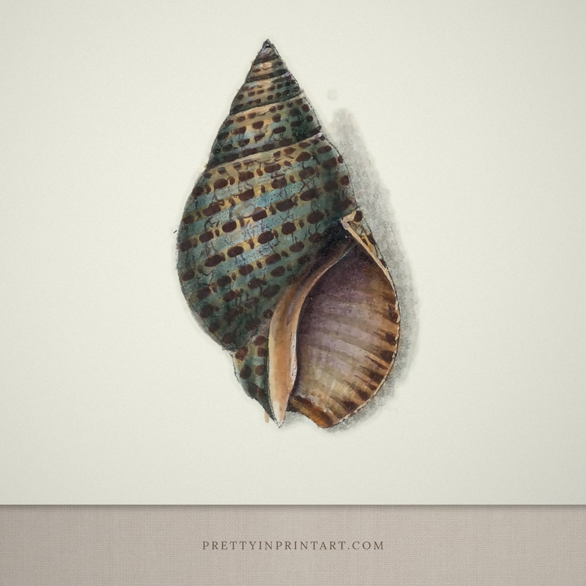Close-up detail of the vintage spotted cone shells print