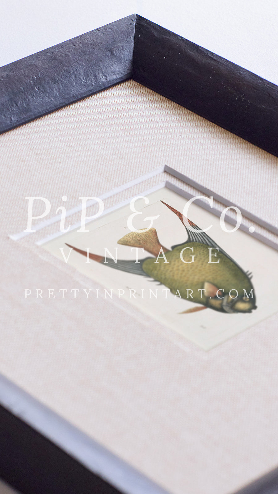 Vintage inspired picture frames for gallery wall ideas and classic antique style interiors
