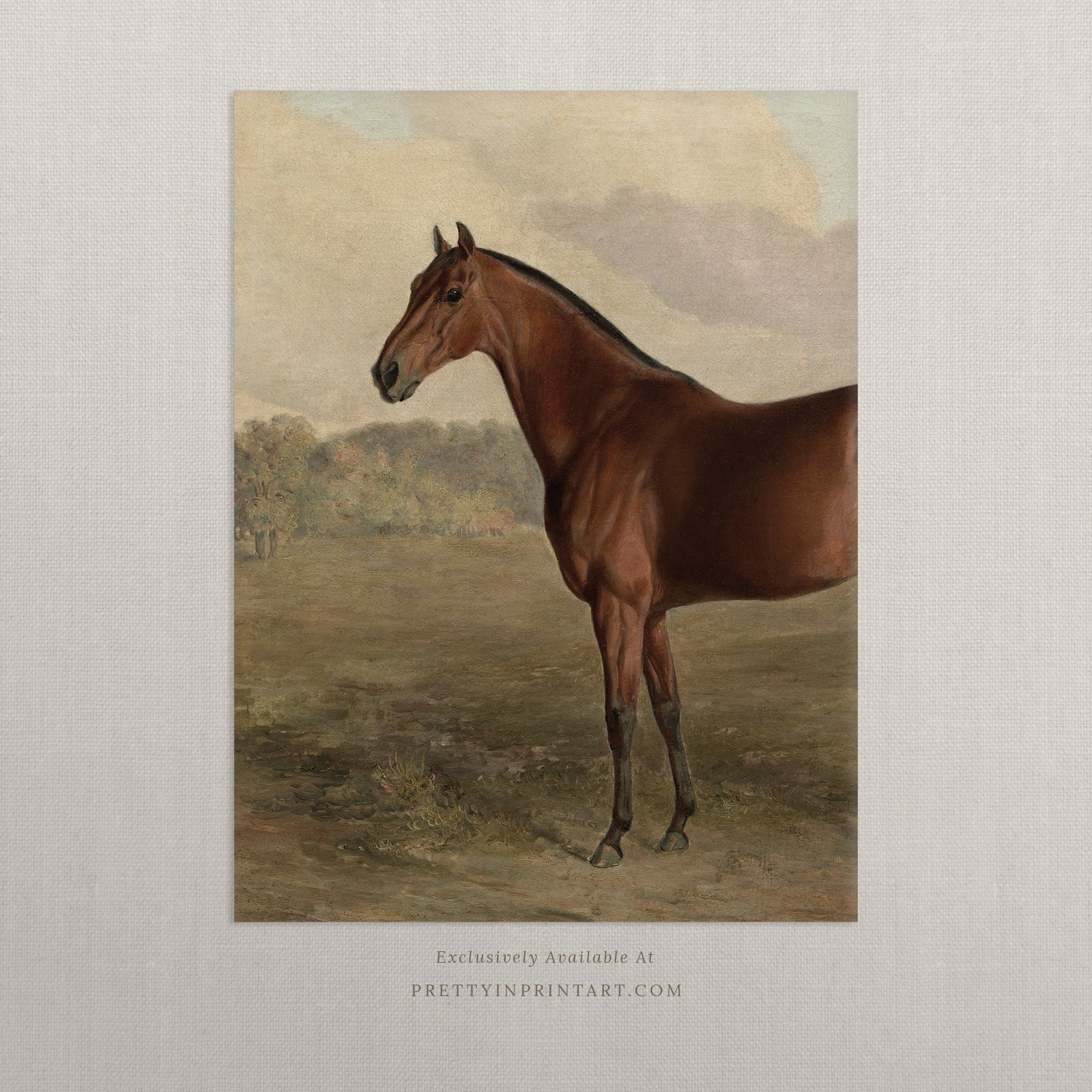 Vintage horse nursery art in classic picture frame Equestrian nursery prints Horse wall art for nursery Antique horse prints for nursery Vintage equestrian nursery decor Pony nursery art print Traditional horse nursery artwork Storybook horse illustration