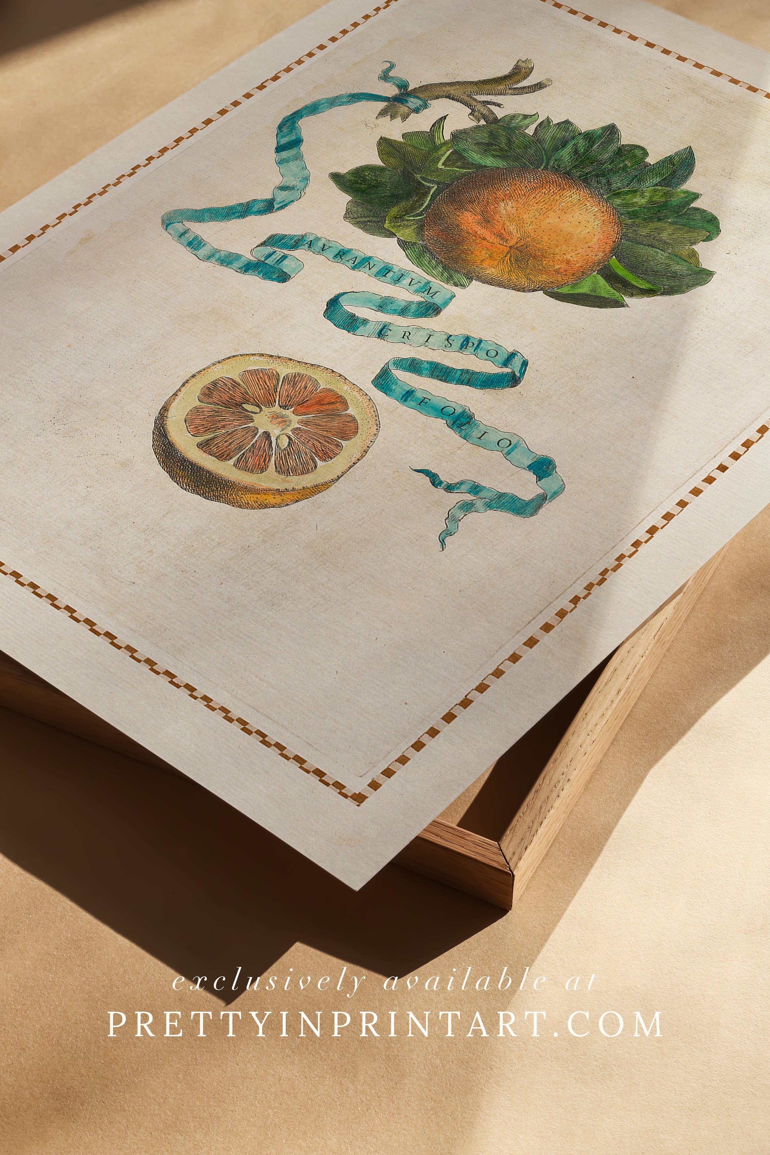 Set of 4 unframed vintage citrus fruit art prints – orange, lemon, lime and grapefruit wall décor for kitchen or dining room.