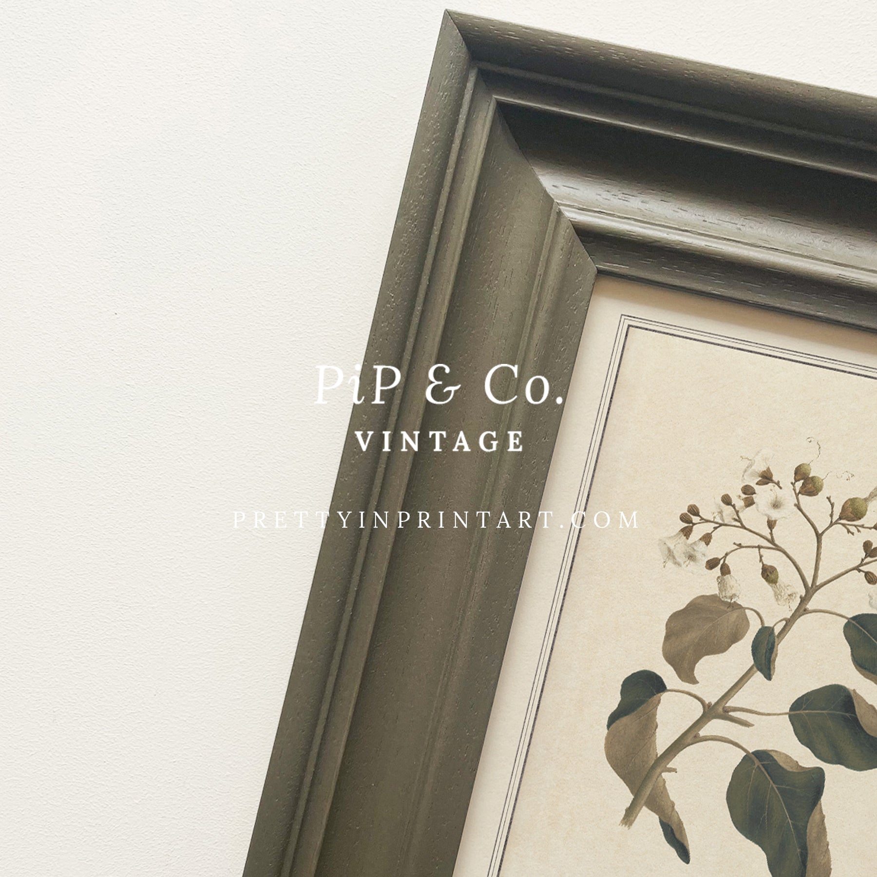 Framed vintage botanical art prints for home decor, Vintage plant wall art with traditional picture frame, Ready-to-hang vintage botanical artwork, Framed floral prints for cottagecore interiors