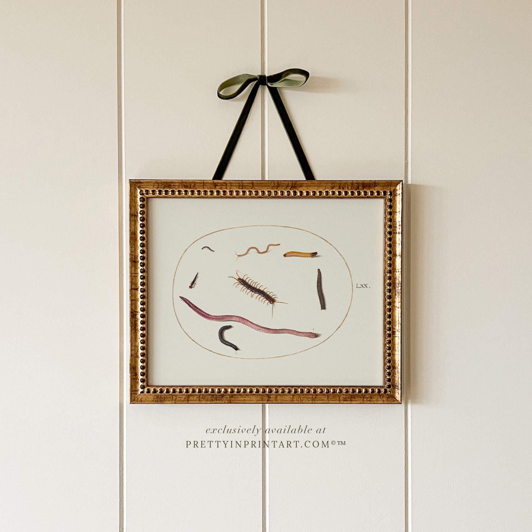 vintage-style nursery art prints featuring bugs, butterflies, beetles, and mini beasts in classic gold and wood frames for children's room decor.