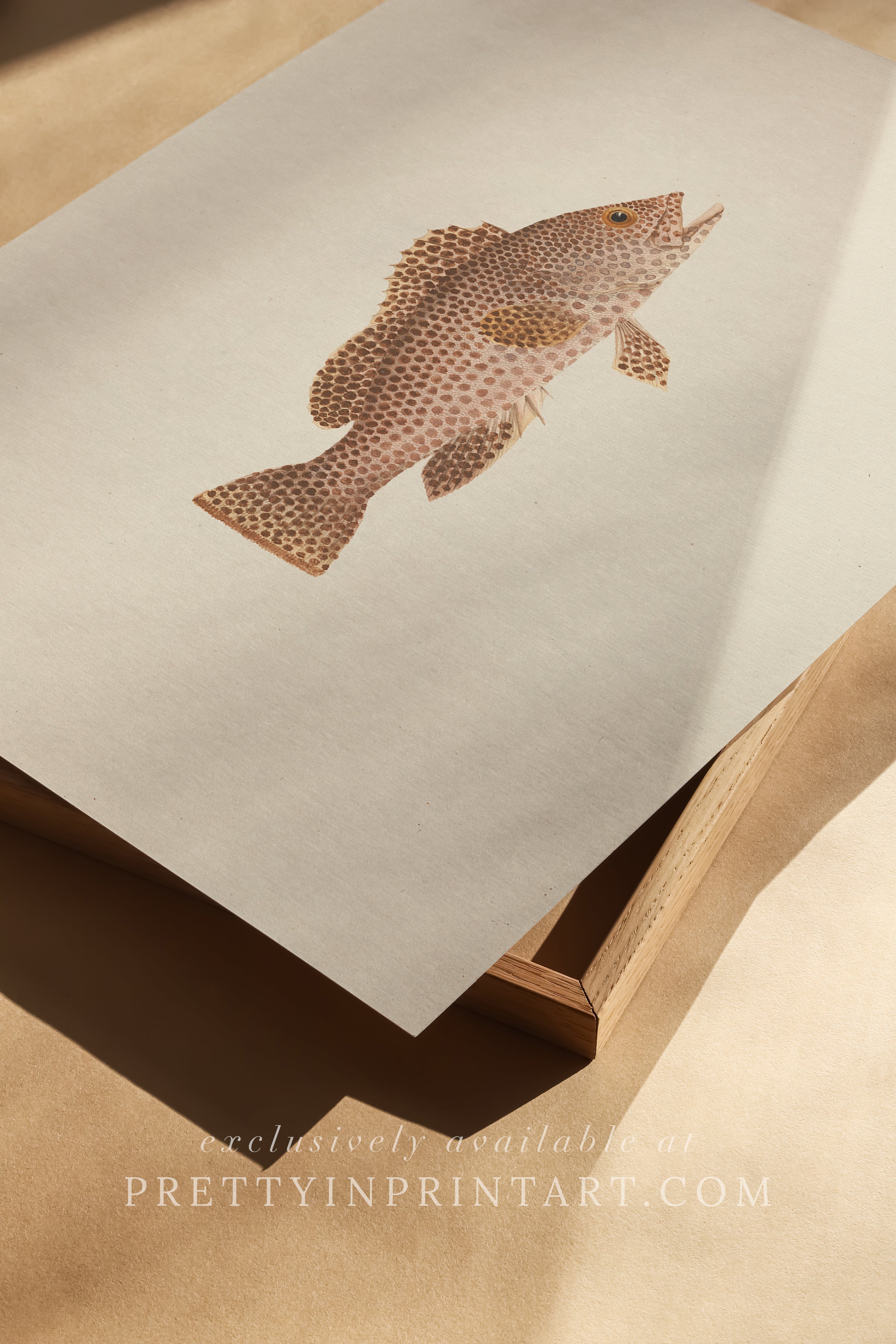 Vintage Fish Art Print 00703 | Unframed