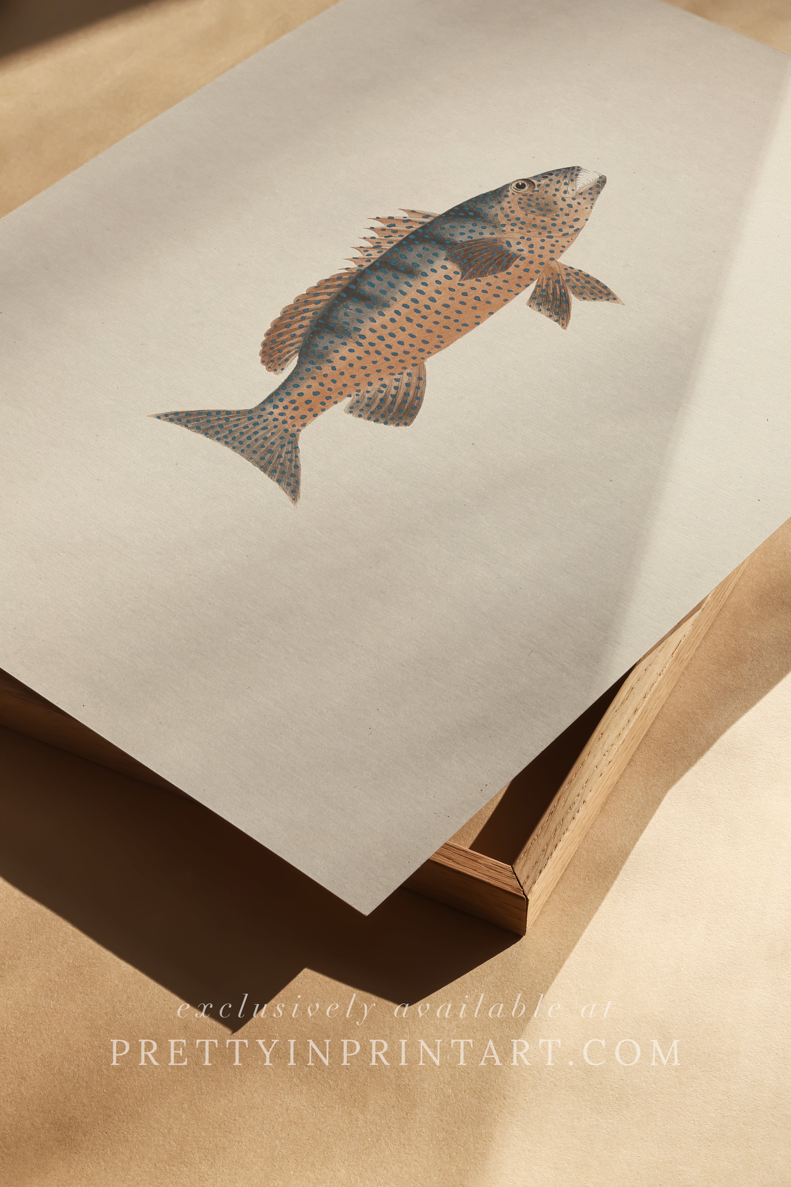 Vintage Fish Art Print 00707 | Unframed