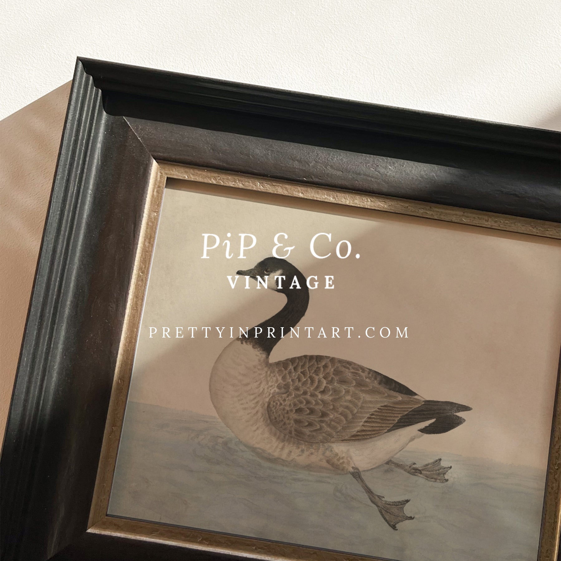 Vintage-style art prints featuring ducks, geese, swans, framed in classic gold or wood frames, perfect for traditional or country-themed vintage nursery, or any room in the home.