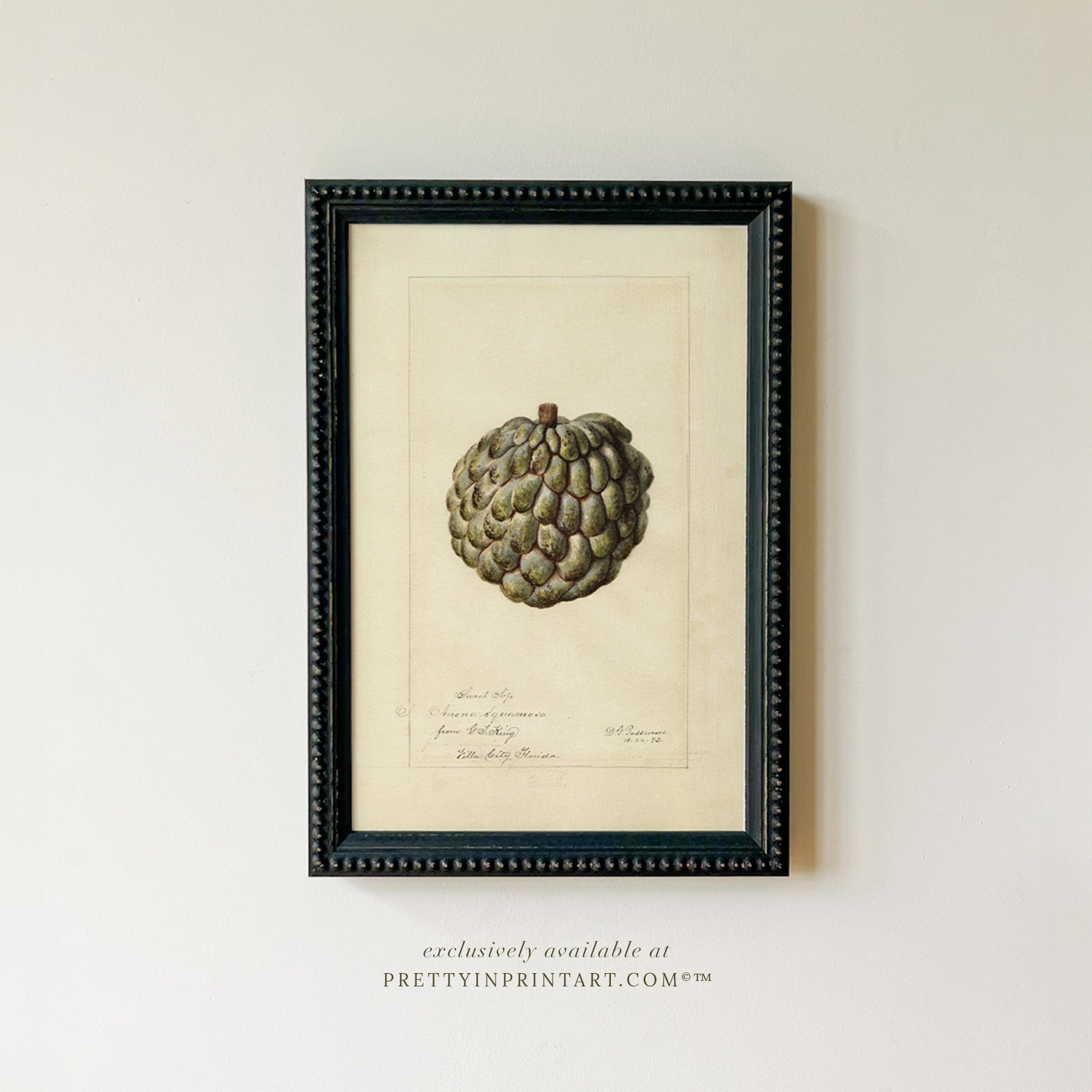 Black bobbin frame with vintage fruit botanical still life art for cottagecore, farmhouse, and traditional interiors