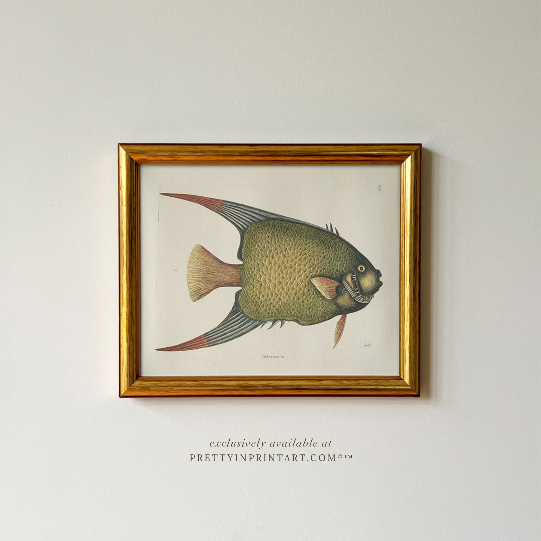Vintage inspired picture frames for gallery wall ideas and classic antique style interiors
