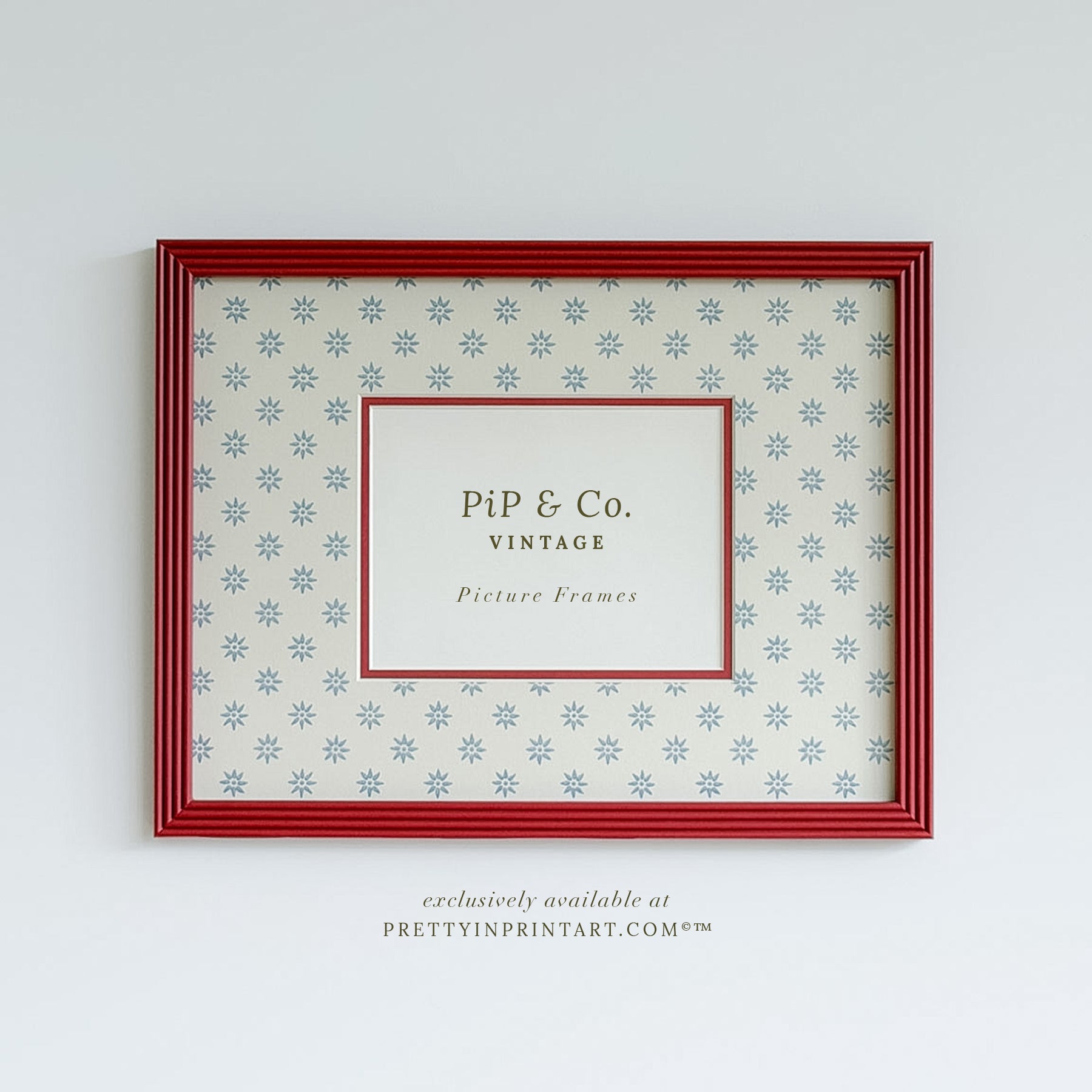 Red Hand Painted Frame | Wallpapered Mount (SW9+M18)