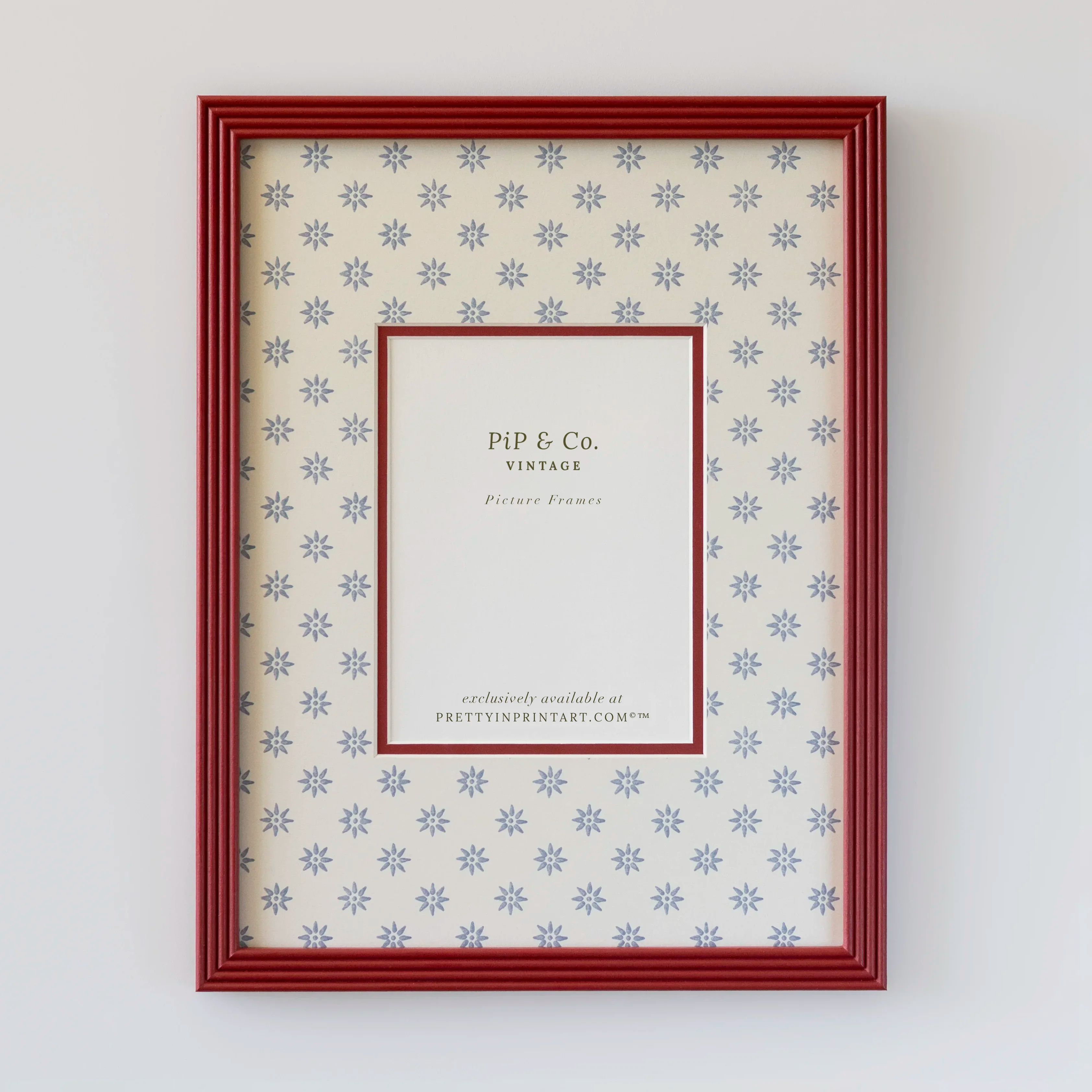 Red Hand Painted Frame | Wallpapered Mount (SW9+M18)
