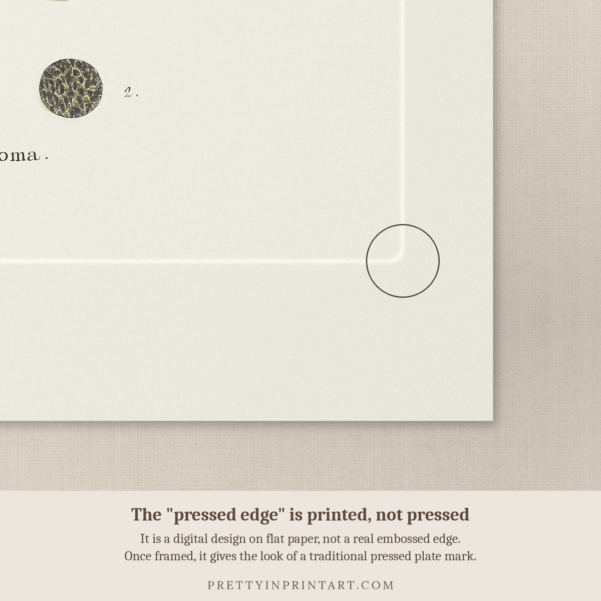 Close-up of the printed pressed-edge effect – a digital design, not an embossed edge