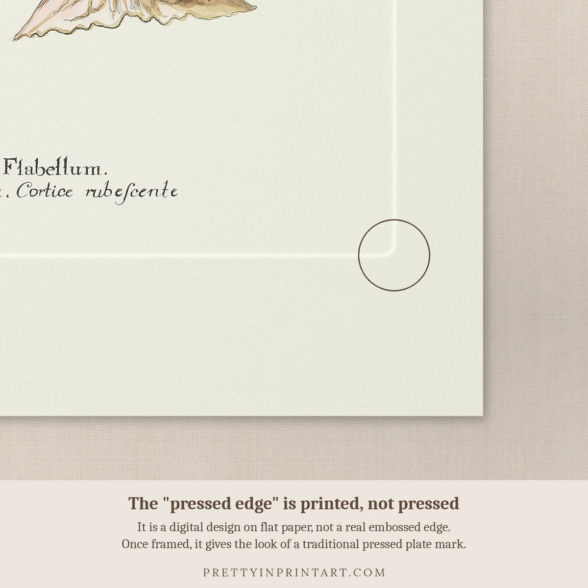 Close-up of the printed pressed-edge effect – a digital design, not an embossed edge