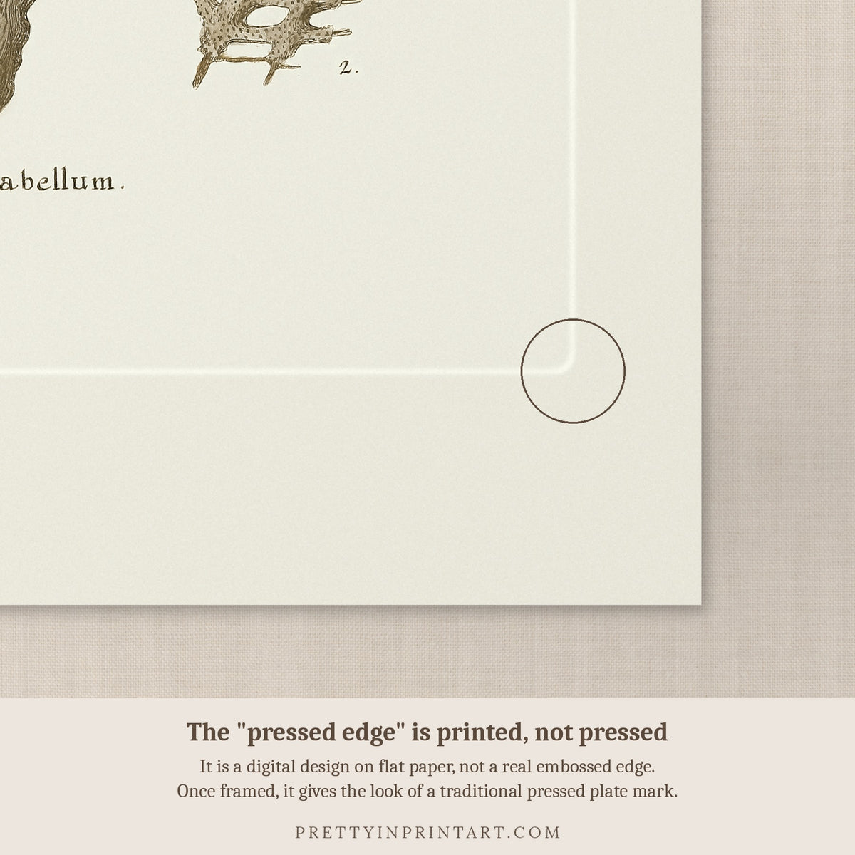 Close-up of the printed pressed-edge effect – a digital design, not an embossed edge