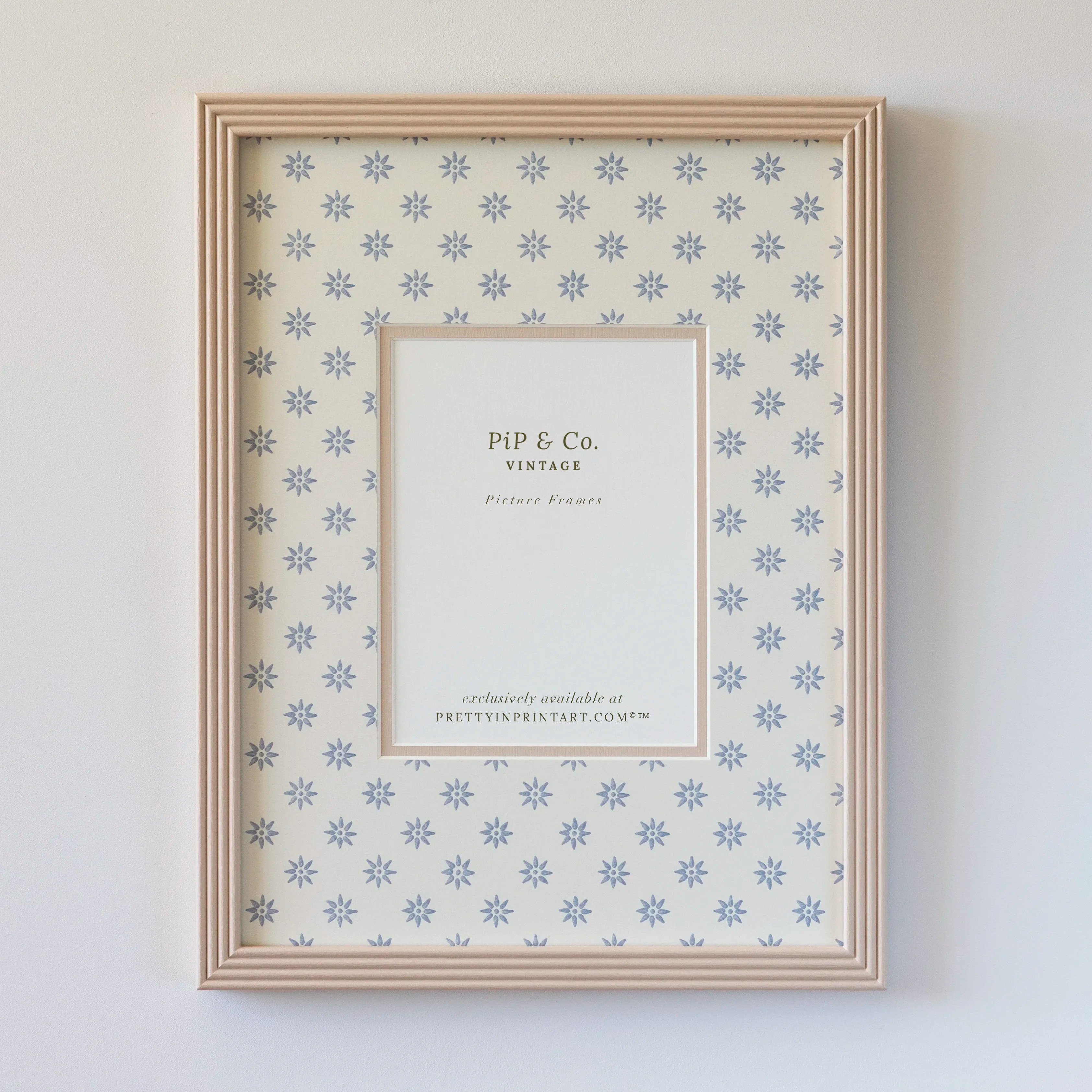 Pink Hand Painted Frame | Wallpapered Mount (SW9+M18)