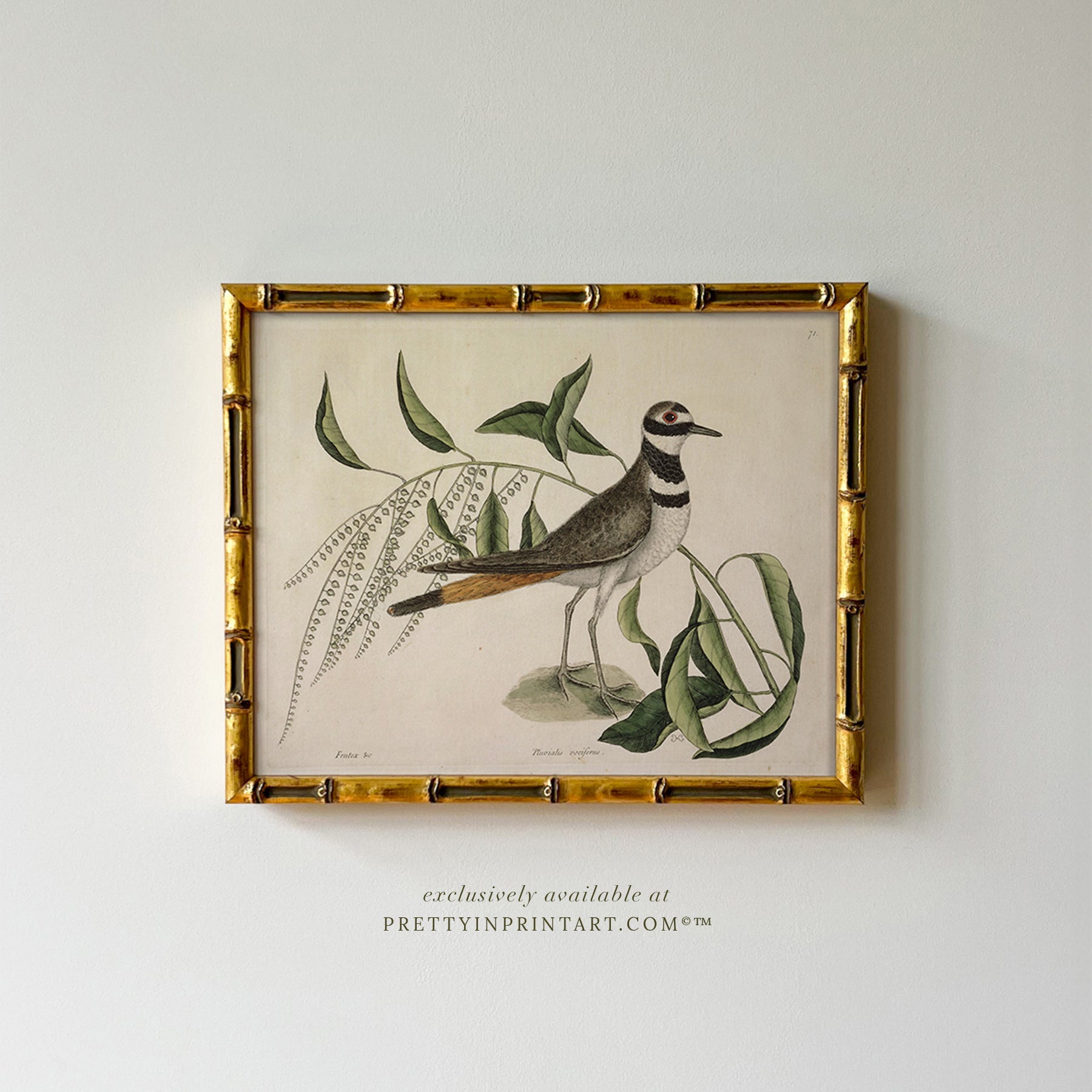 Vintage style gold bamboo picture frame