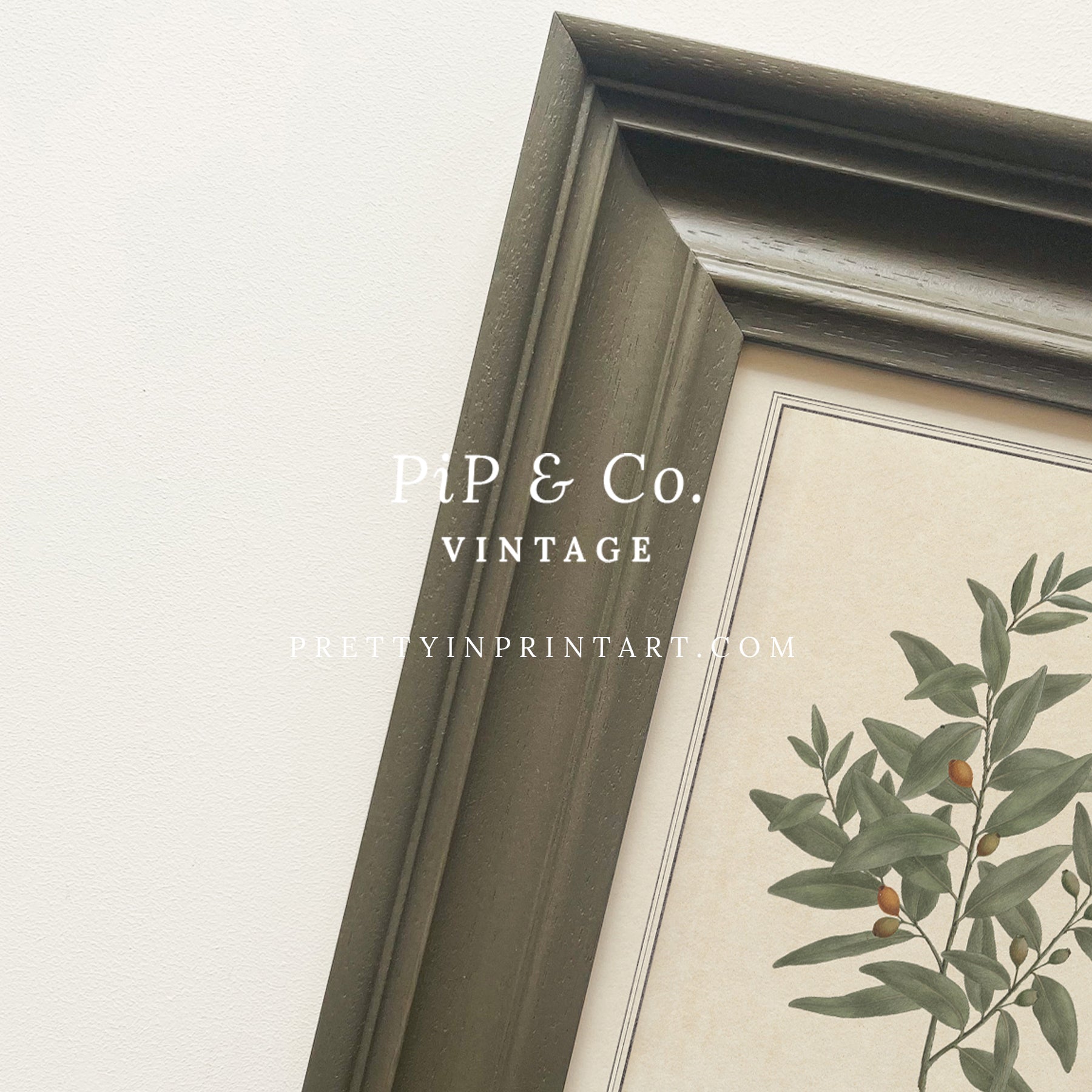 Framed vintage botanical art prints for home decor, Vintage plant wall art with traditional picture frame, Ready-to-hang vintage botanical artwork, Framed floral prints for cottagecore interiors