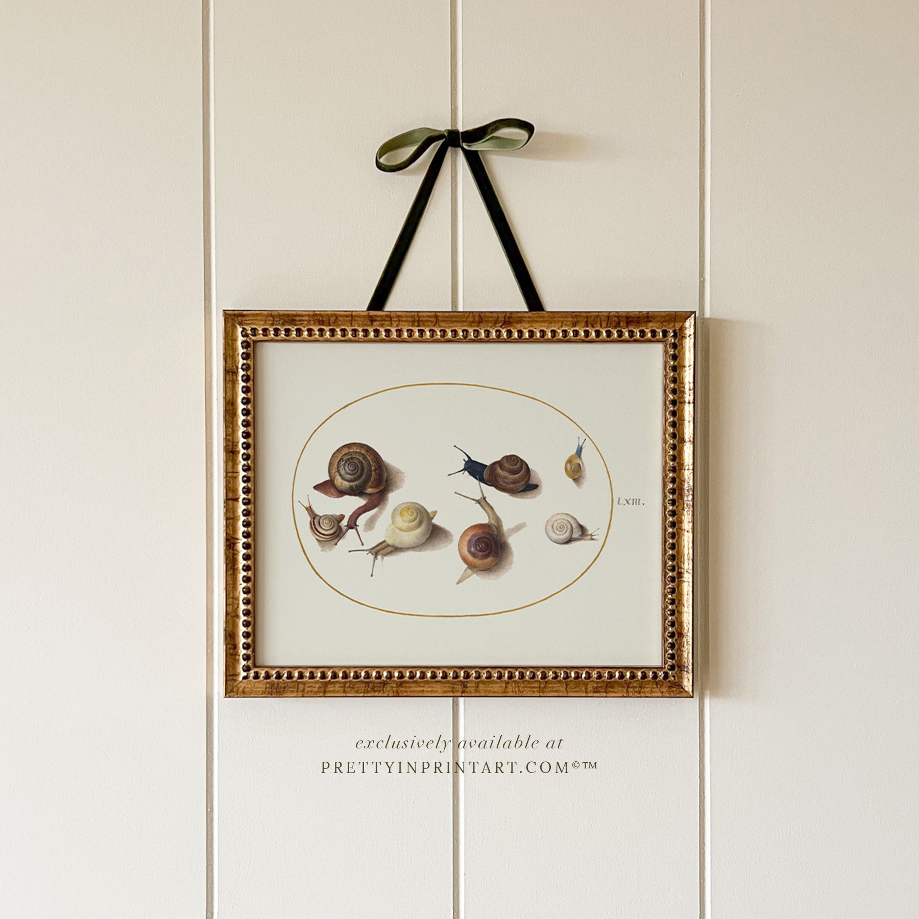 vintage-style nursery art prints featuring bugs, butterflies, beetles, and mini beasts in classic gold and wood frames for children's room decor.