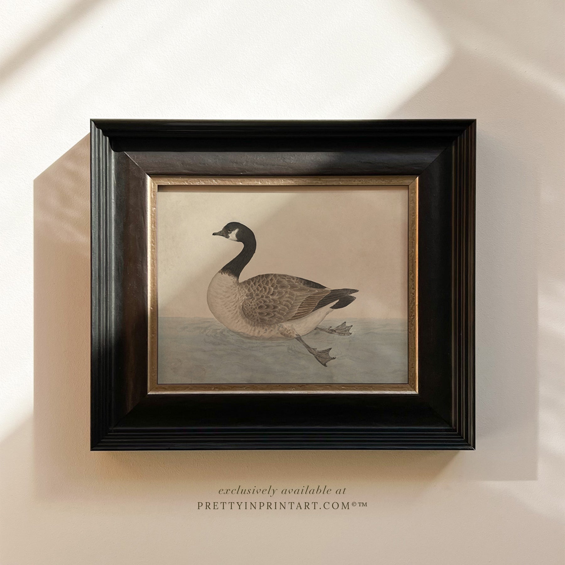 Vintage-style art prints featuring ducks, geese, swans, framed in classic gold or wood frames, perfect for traditional or country-themed vintage nursery, or any room in the home.