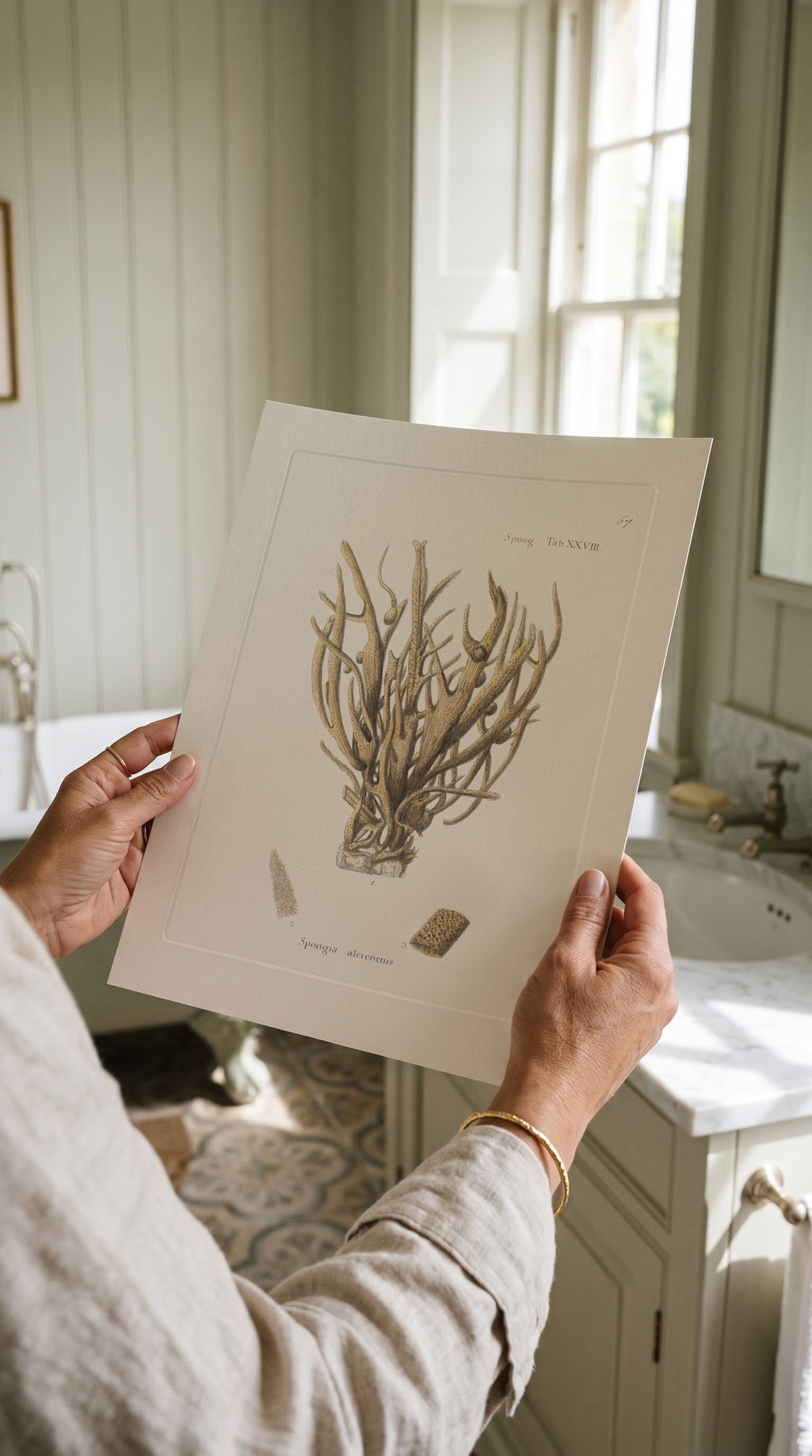 Vintage Antler Sponge Print held up in a bright country bathroom with panelled walls