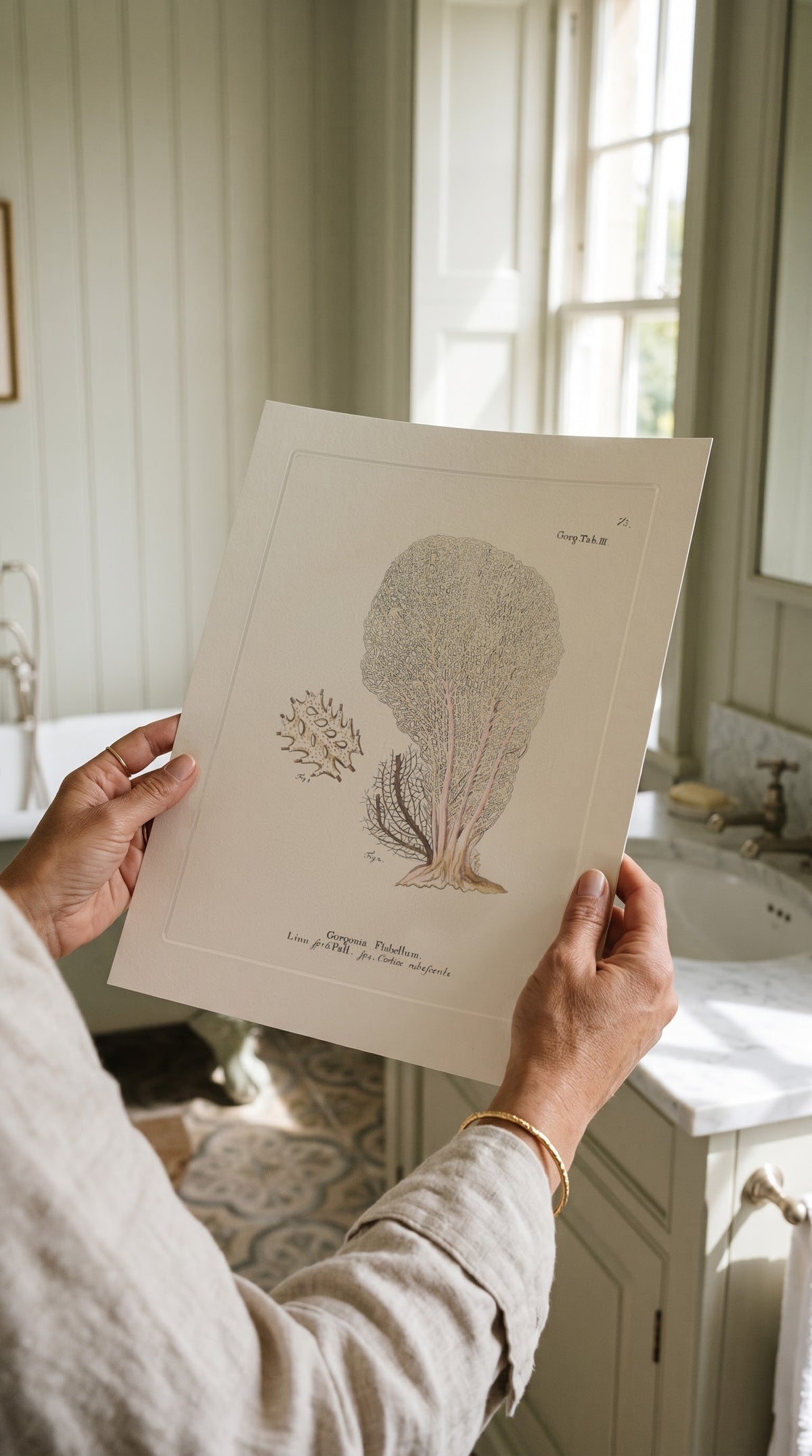 Vintage Pale Sea Fan Study Print held up in a bright country bathroom with panelled walls
