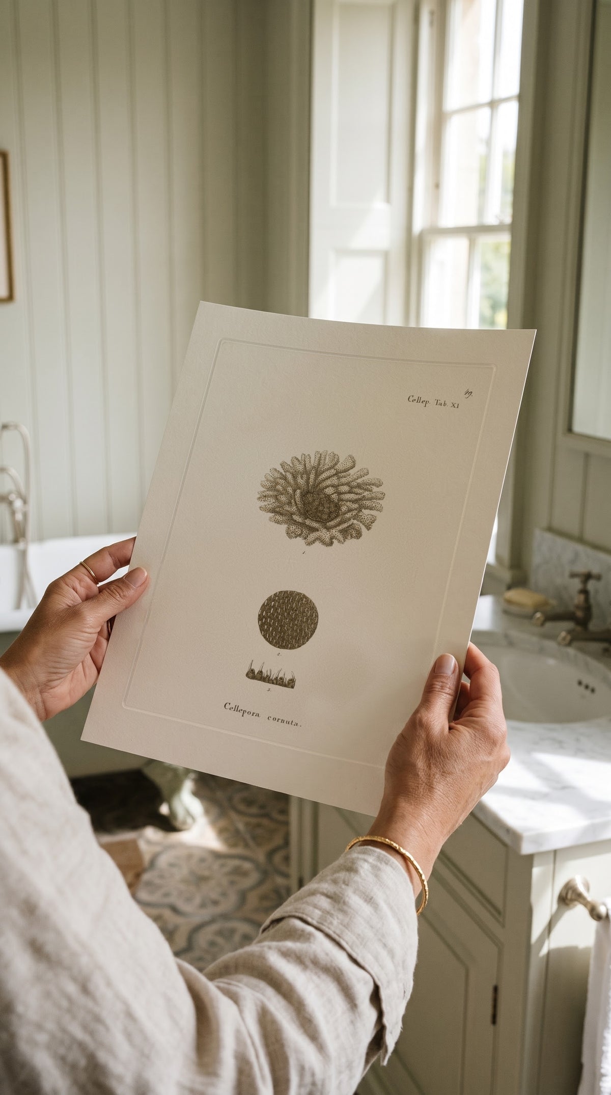 Vintage Sepia Cup Coral Print held up in a bright country bathroom with panelled walls