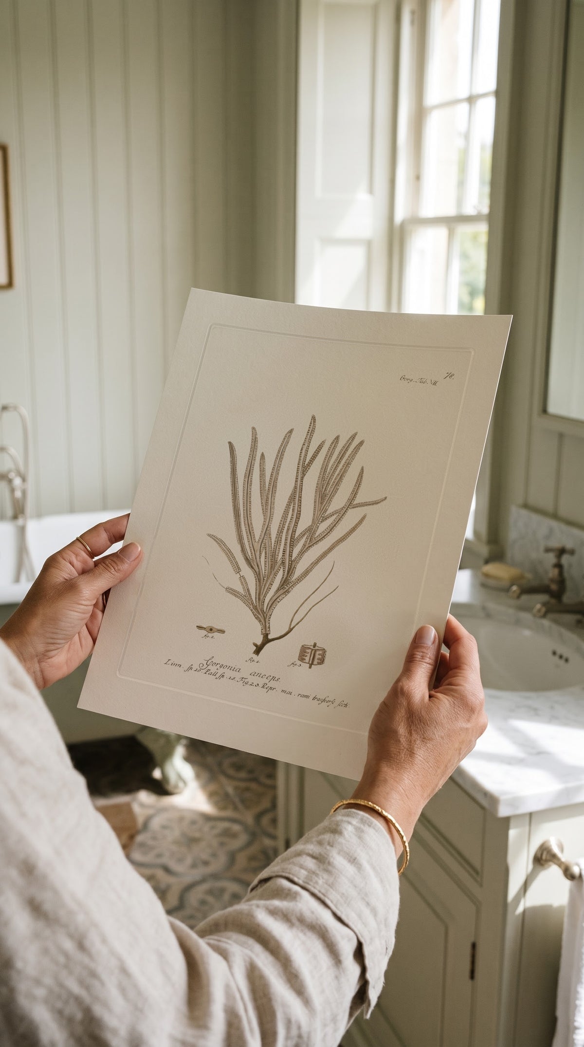 Vintage Sepia Sea Whip Print held up in a bright country bathroom with panelled walls