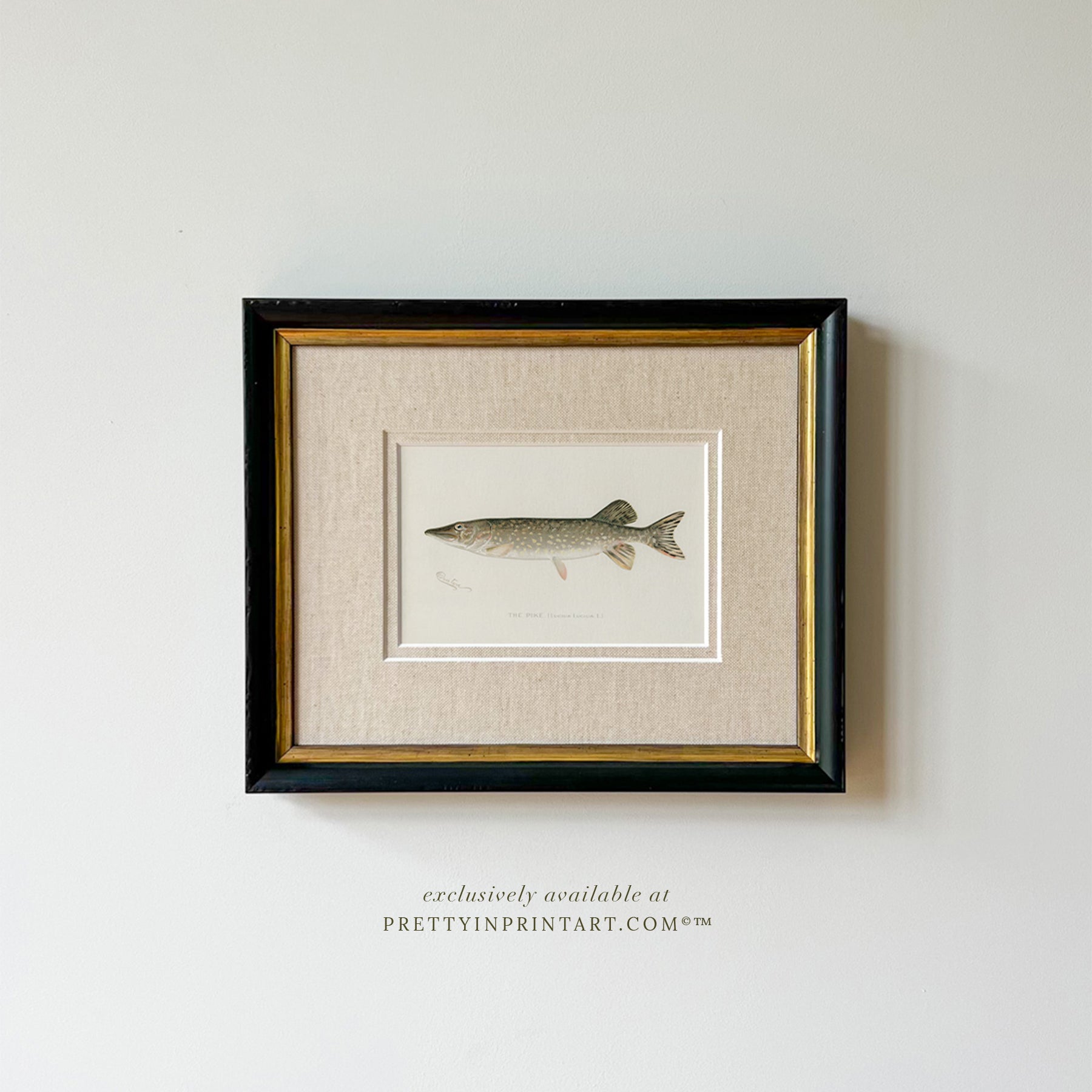 Vintage inspired picture frames for gallery wall ideas and classic antique style interiors