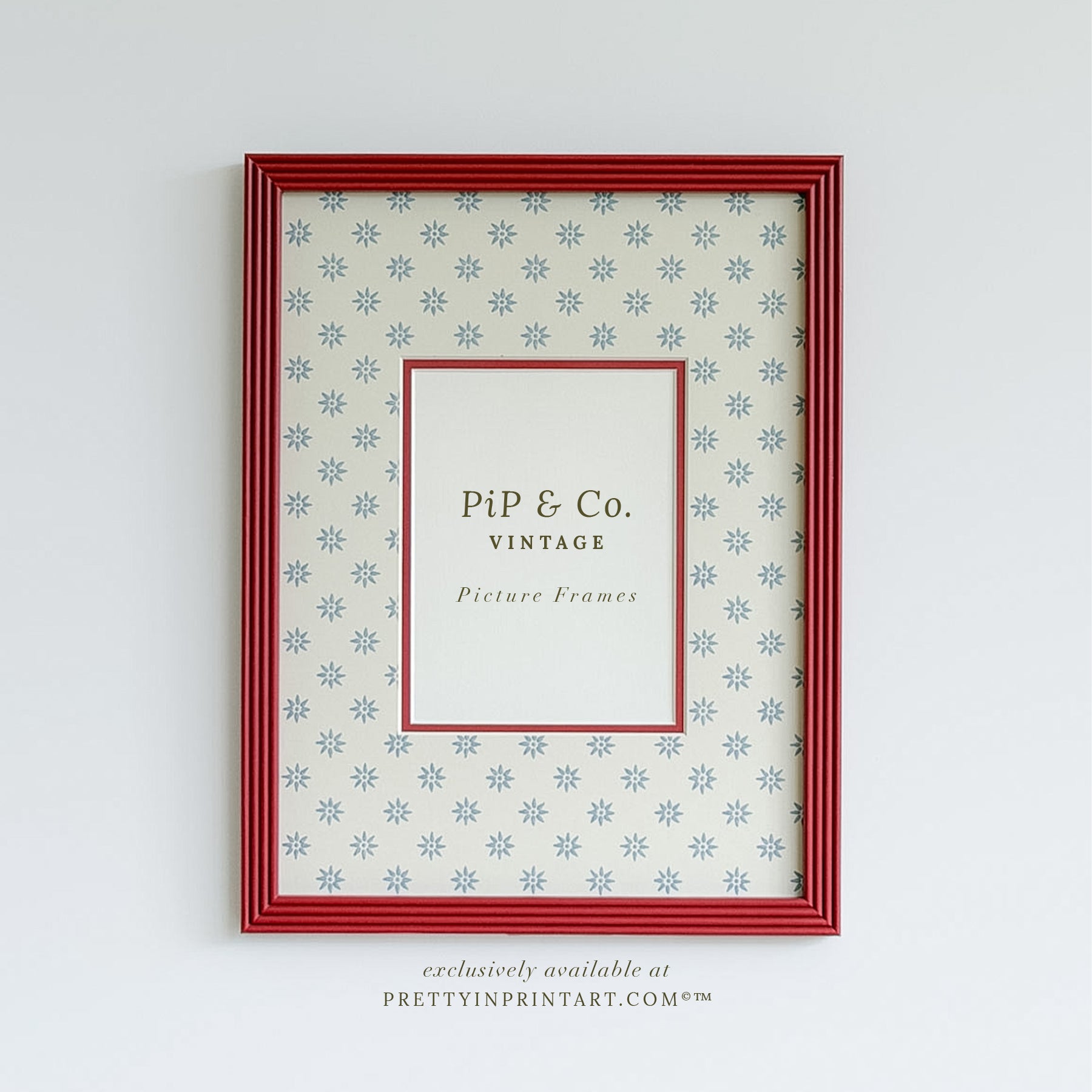 Red Hand Painted Frame | Wallpapered Mount (SW9+M18)