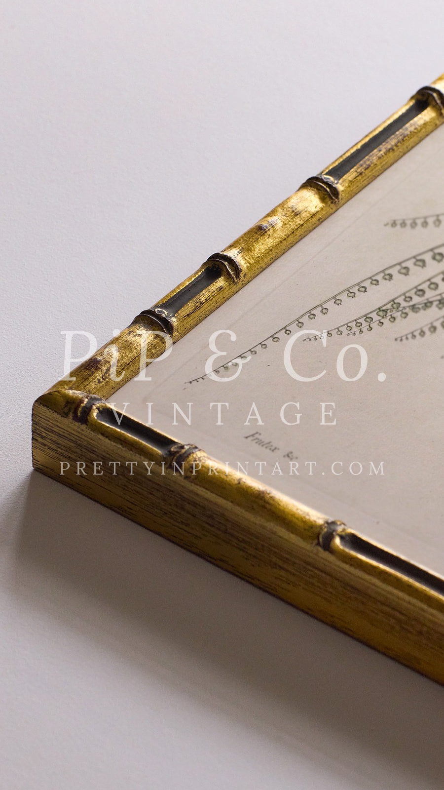 Vintage style gold bamboo picture frame