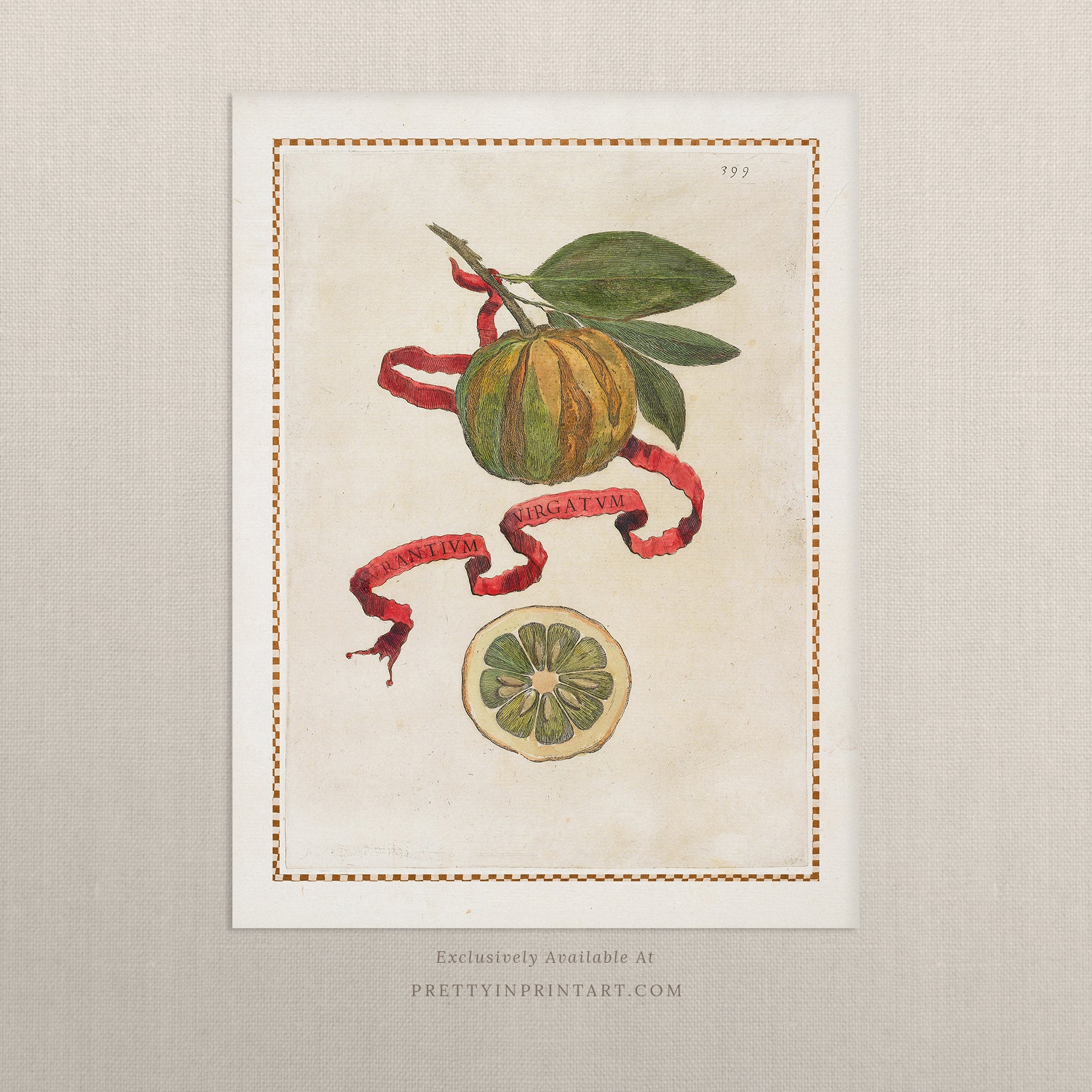 Vintage Citrus Fruit Botanical Print for Kitchen – Unframed Wall Art Decorate your kitchen with a vintage citrus fruit art print. Unframed botanical wall art of lemons, limes & oranges – perfect for farmhouse and rustic kitchens.