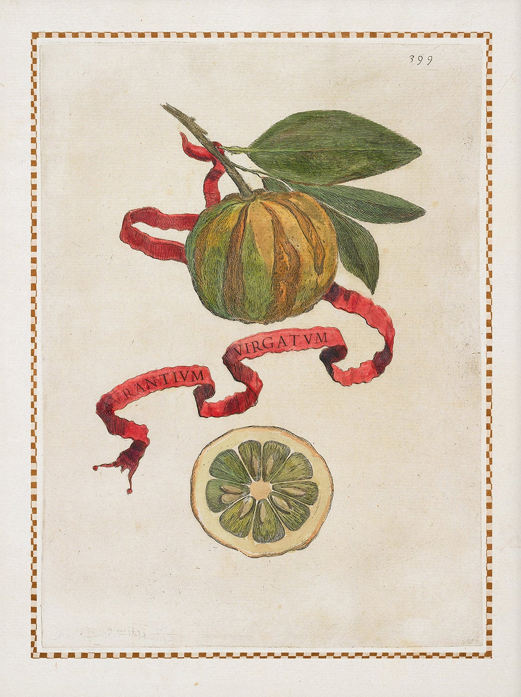 Vintage Citrus Fruit Kitchen Art Print 001 | Unframed