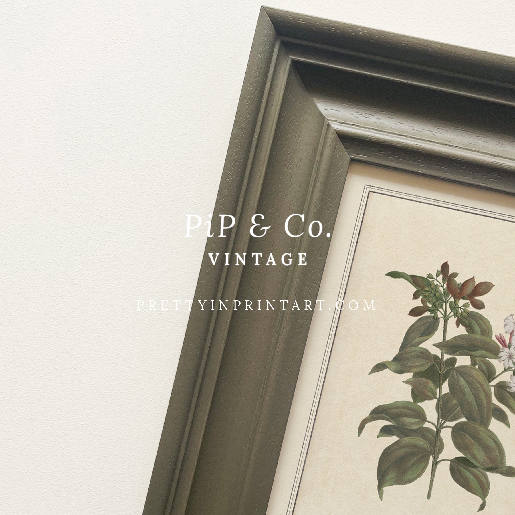 Framed vintage botanical art prints for home decor, Vintage plant wall art with traditional picture frame, Ready-to-hang vintage botanical artwork, Framed floral prints for cottagecore interiors