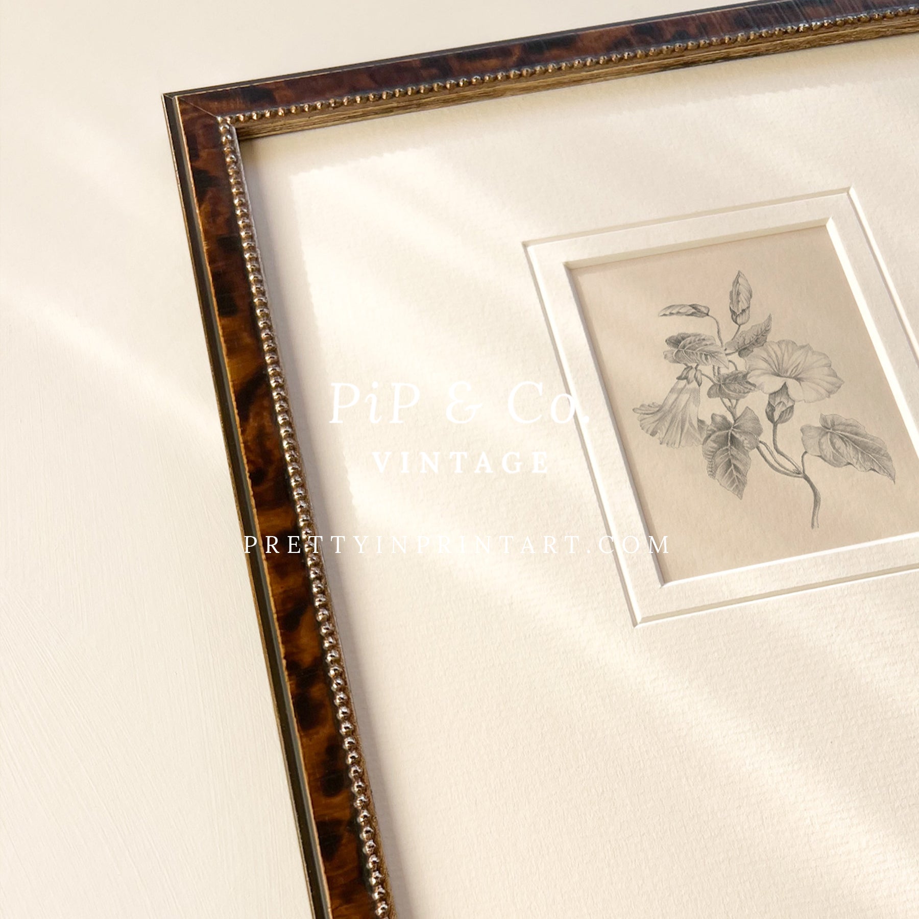 Flower pencil drawing, Floral still life vintage art, Vintage still life art, Framed vintage still life art, Classic picture frame, Vintage-style frame, Framed wall art vintage