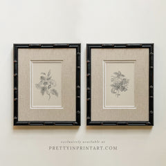 Vintage Pencil-Drawn Flower Botanical Art Print – Framed & Mounted in Black Bamboo Frame with Linen Mount, Set of Two (269)