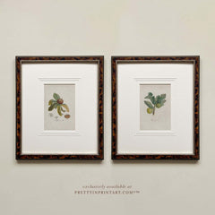 Vintage Still Life Fruit Art Print – Framed & Mounted in Tortoiseshell-Style Wood Frame, Choose Your Design (007948, 003)