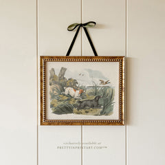 Vintage Hunting Dog Art Print 001 | Gold Frame (0160)