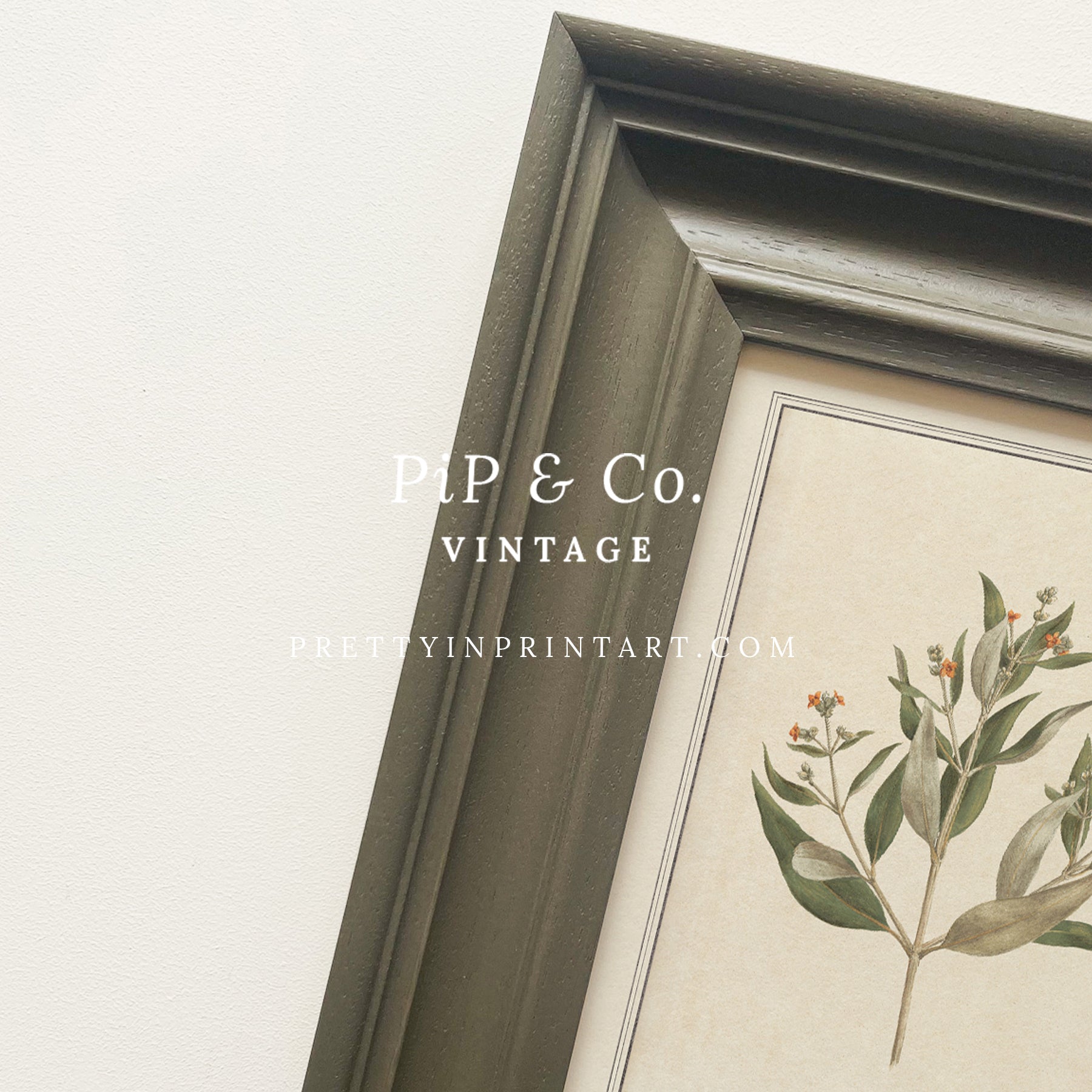 Framed vintage botanical art prints for home decor, Vintage plant wall art with traditional picture frame, Ready-to-hang vintage botanical artwork, Framed floral prints for cottagecore interiors