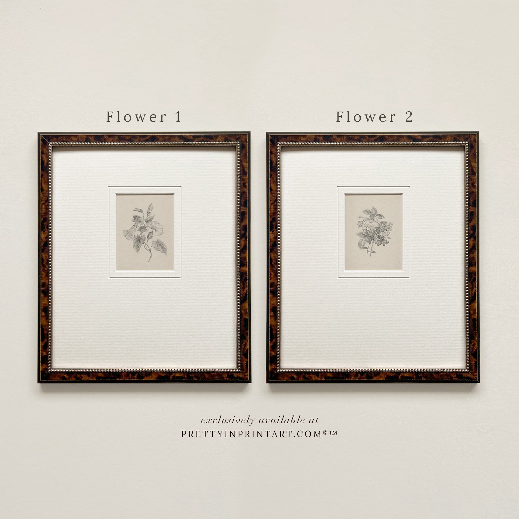 Flower pencil drawing, Floral still life vintage art, Vintage still life art, Framed vintage still life art, Classic picture frame, Vintage-style frame, Framed wall art vintage