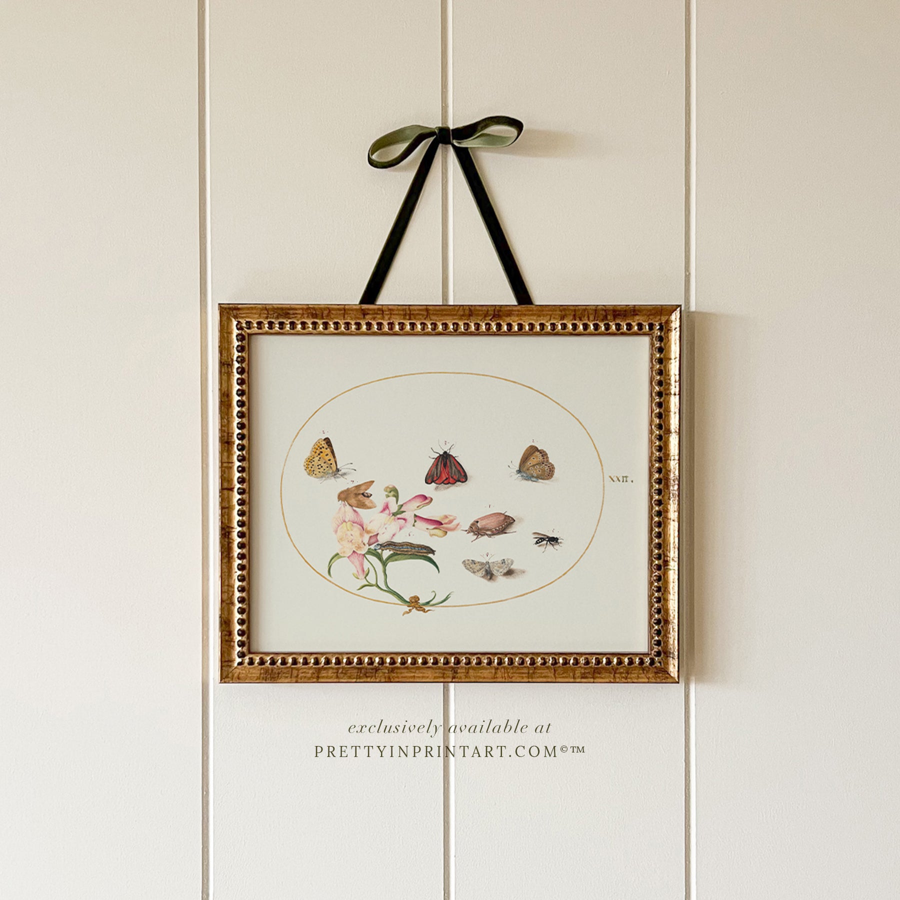 vintage-style nursery art prints featuring bugs, butterflies, beetles, and mini beasts in classic gold and wood frames for children's room decor.