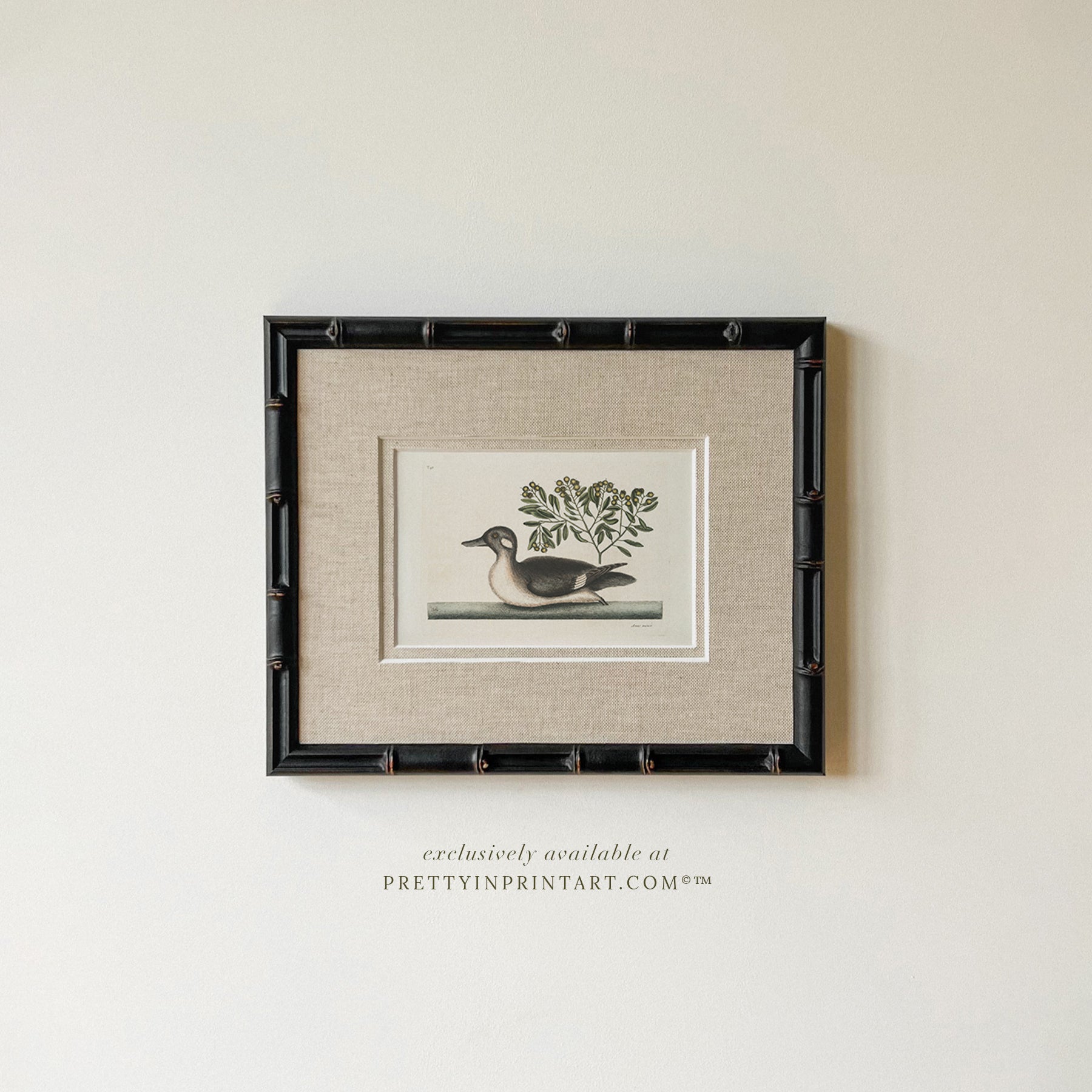 Framed & Mounted Vintage Duck Art 003481 | 269