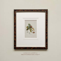 Framed Still Life Art 007947 (BRN-TOR-2124) | Mount 003