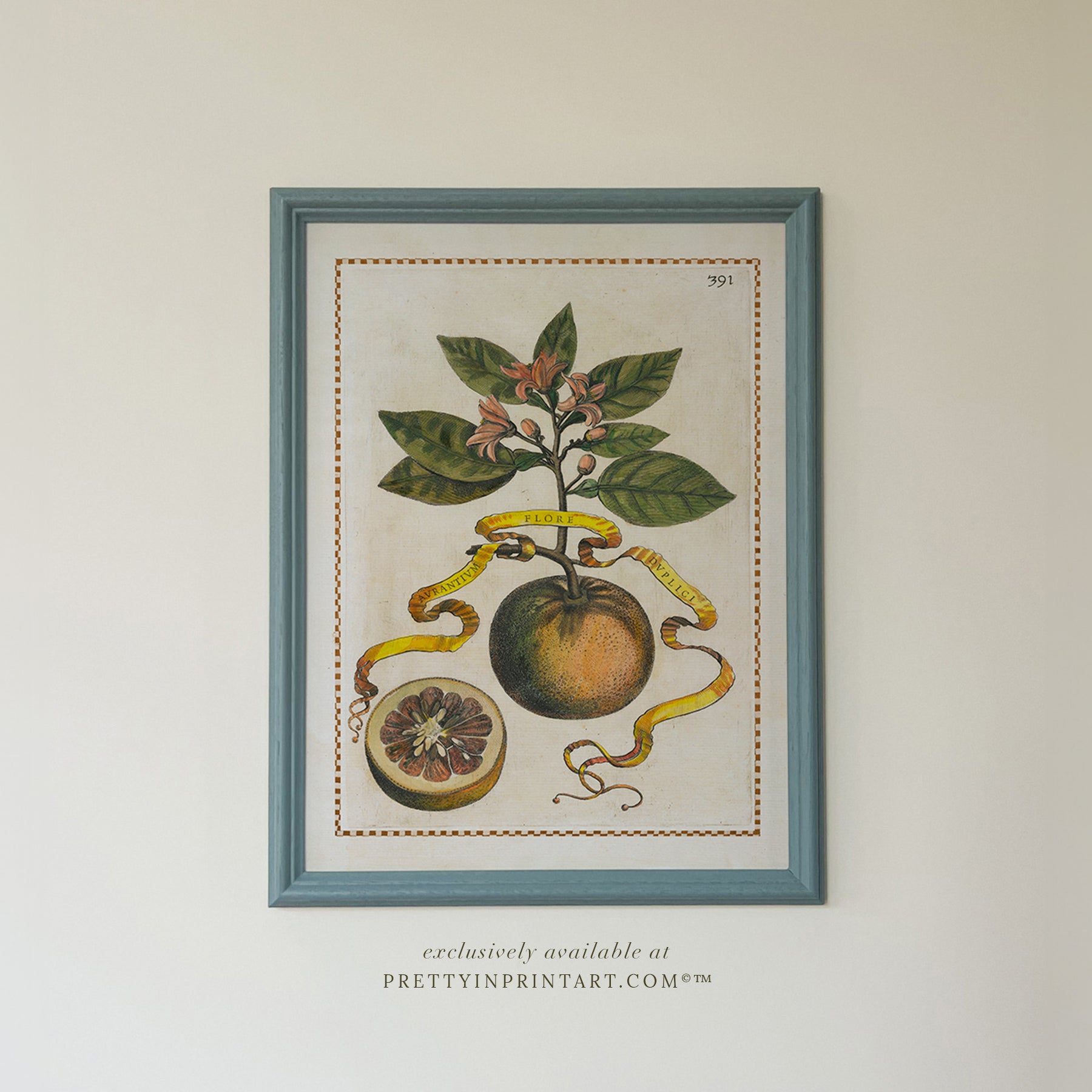 Framed Vintage Citrus Prints – Blue Farrow & Ball Frames for Kitchen Walls 003