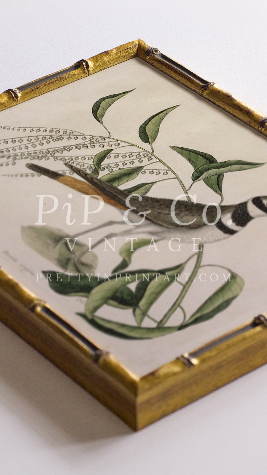 Vintage style gold bamboo picture frame