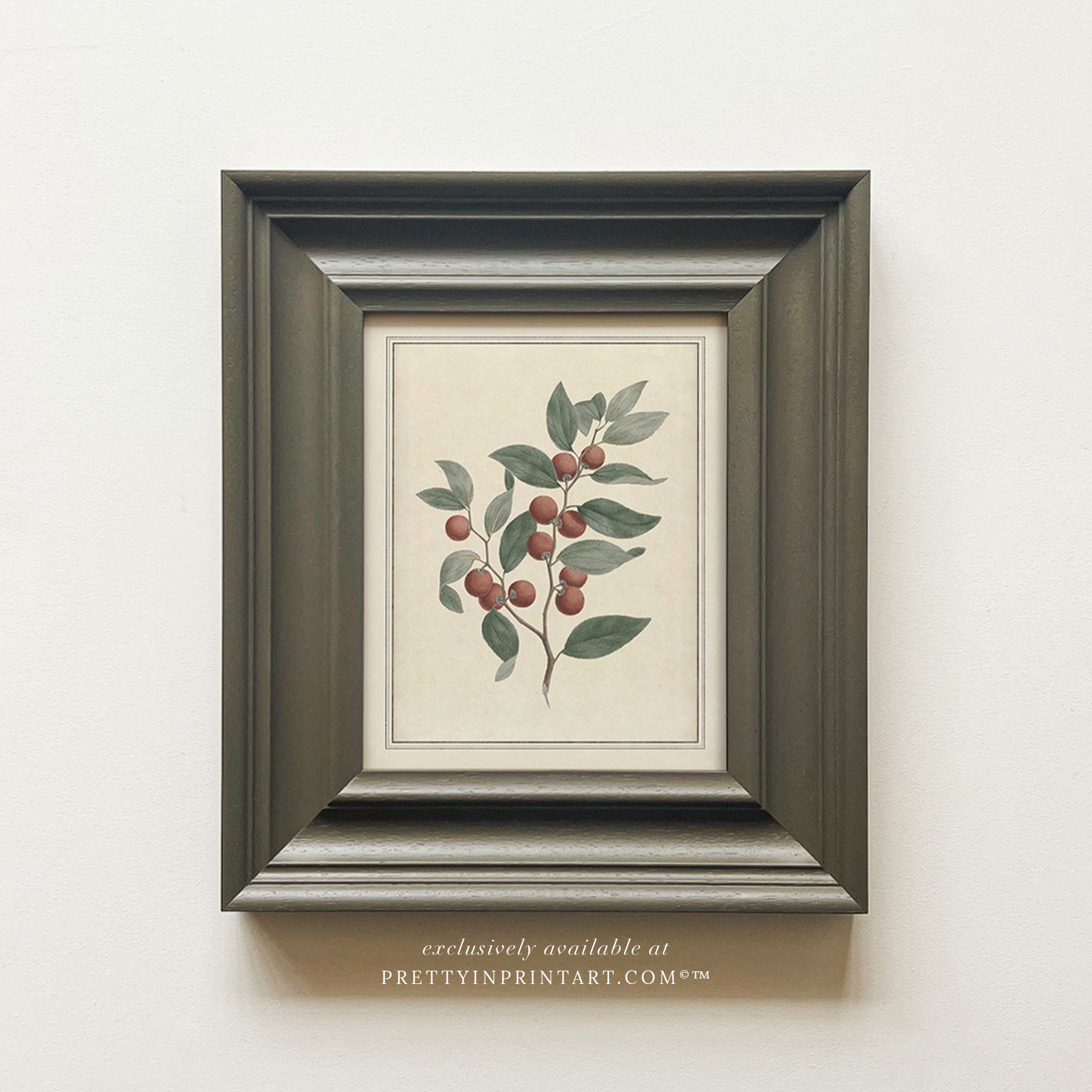Framed vintage botanical art prints for home decor, Vintage plant wall art with traditional picture frame, Ready-to-hang vintage botanical artwork, Framed floral prints for cottagecore interiors