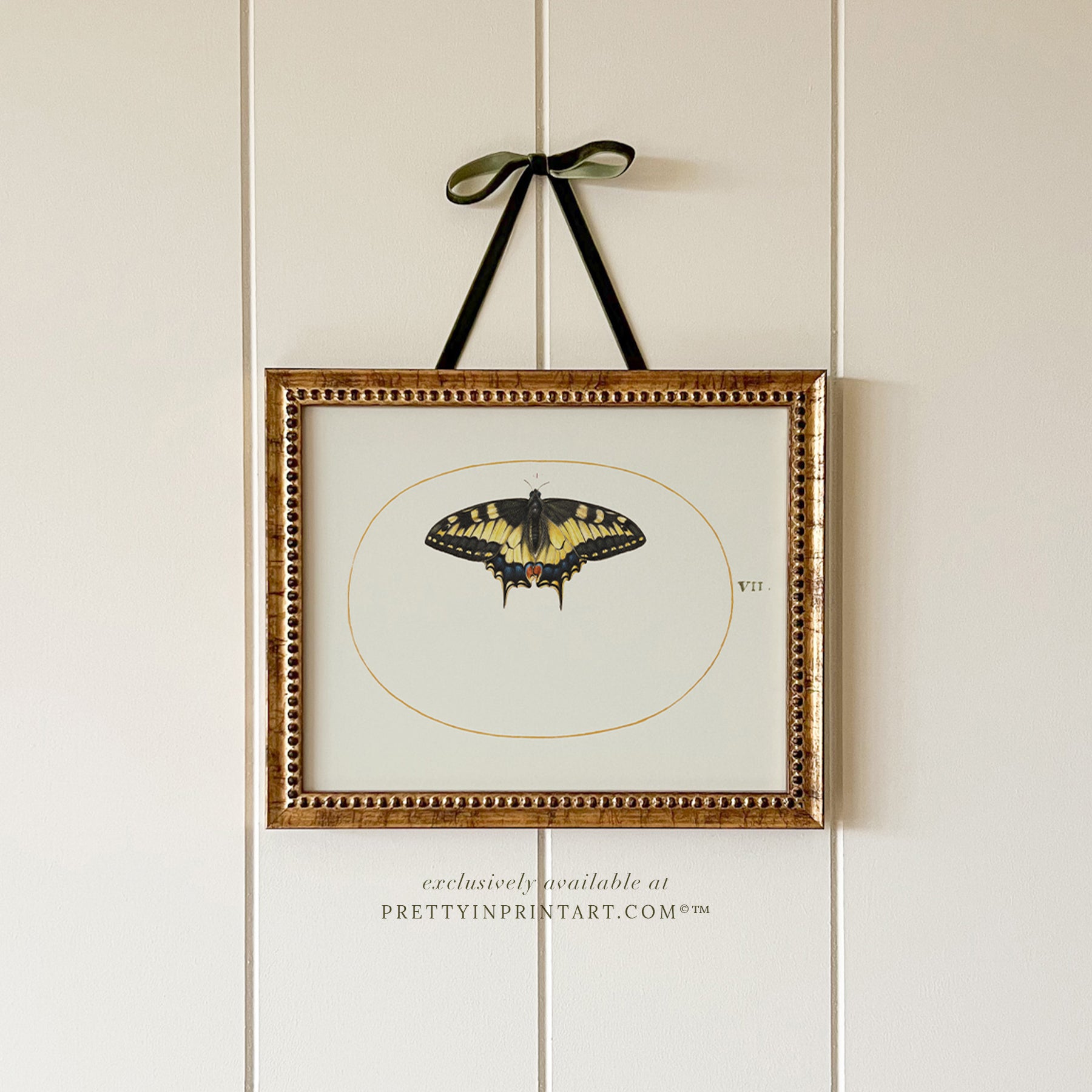 vintage-style nursery art prints featuring bugs, butterflies, beetles, and mini beasts in classic gold and wood frames for children's room decor.
