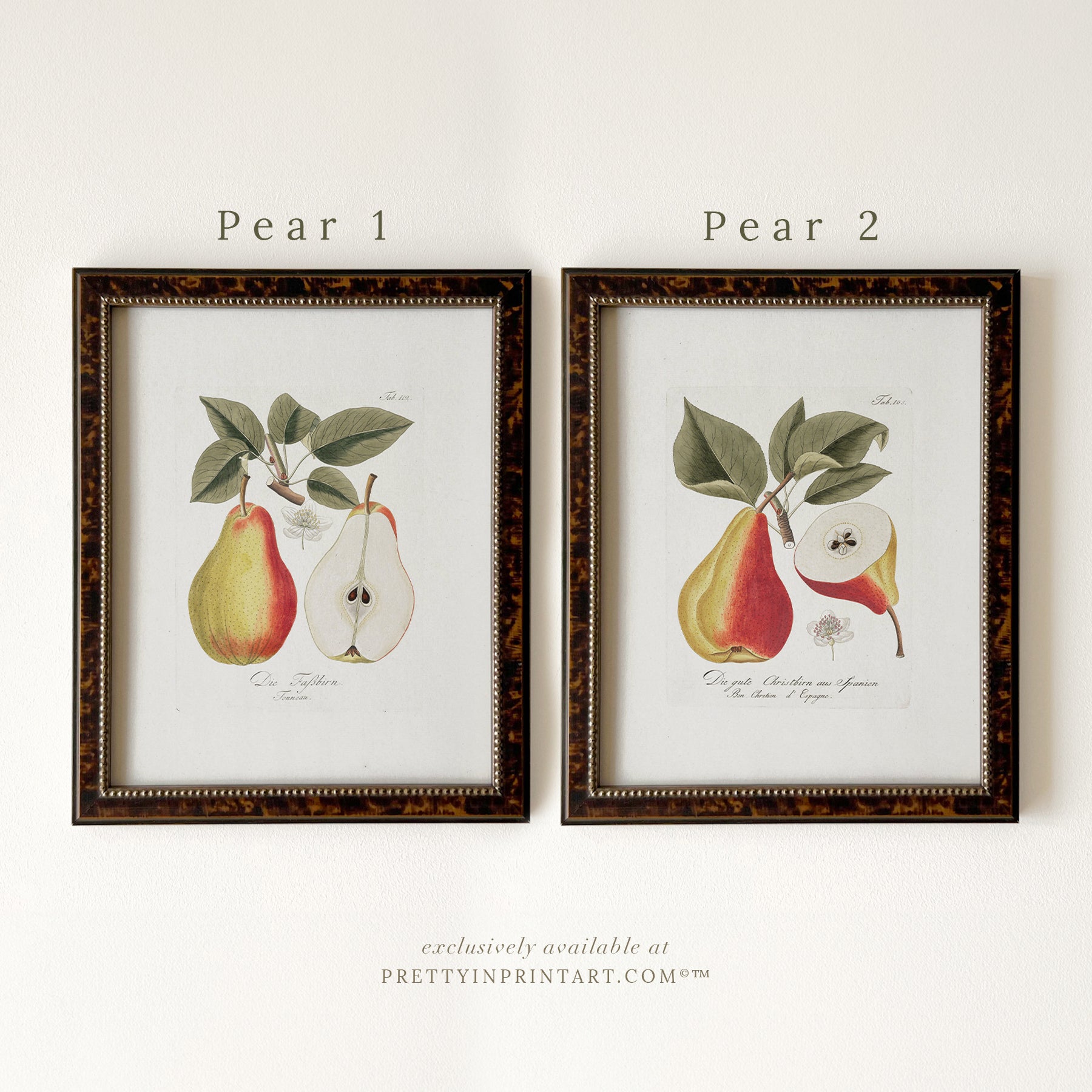 Framed vintage pear still life art print in brown wood frame – classic kitchen wall decor or rustic home styling from Pretty in Print Art.