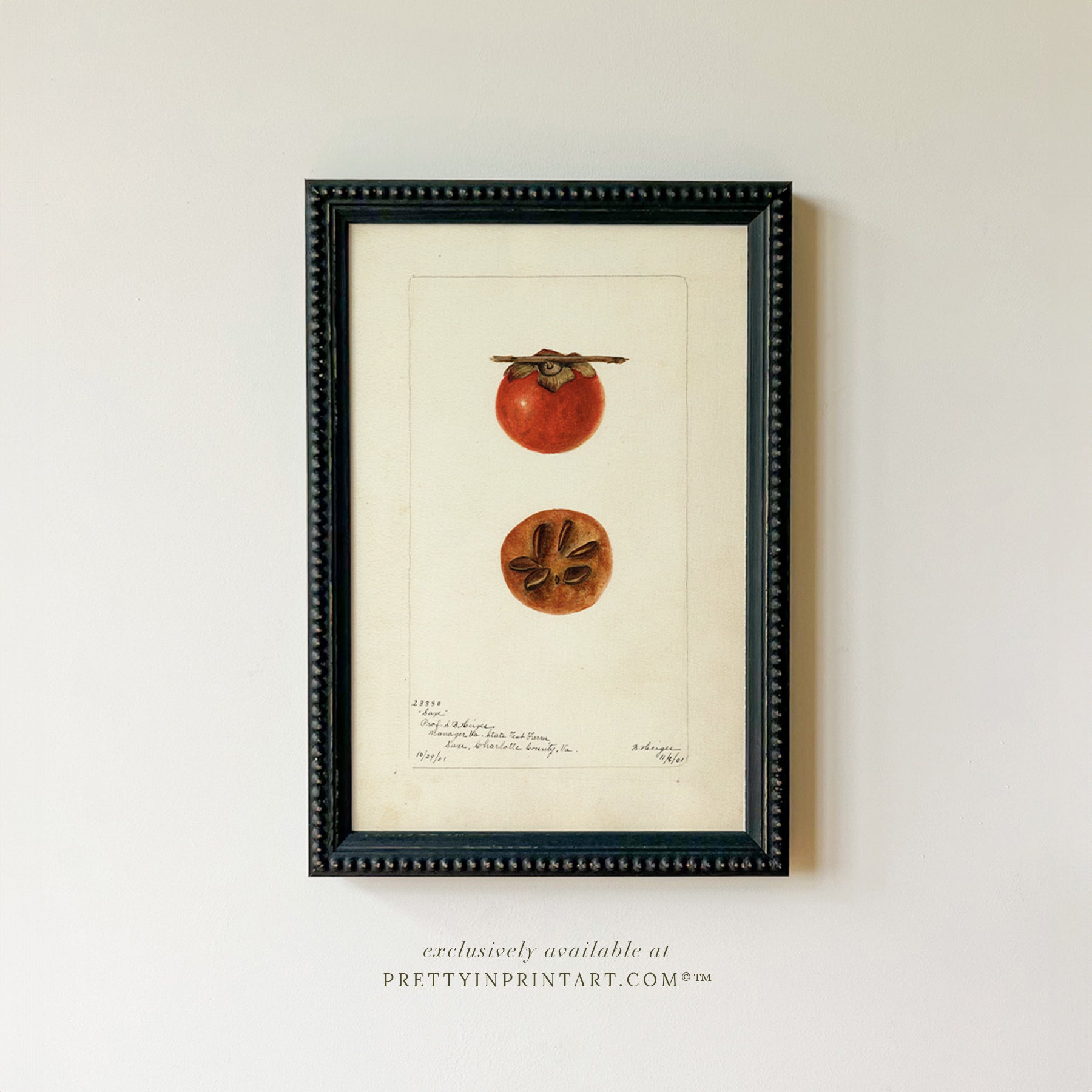 Black bobbin frame with vintage fruit botanical still life art for cottagecore, farmhouse, and traditional interiors