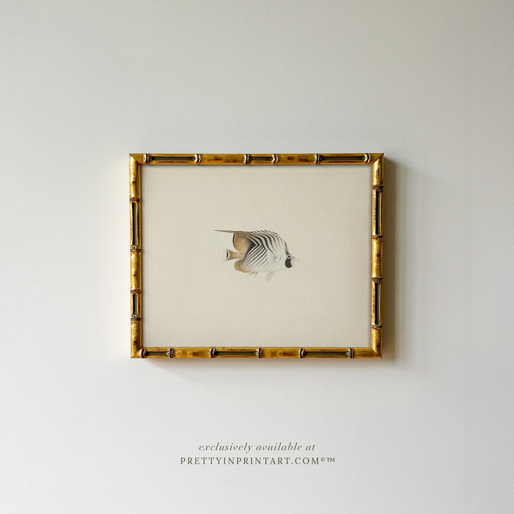 Vintage Fish Art Print 00708 in Gold Bamboo Frame (0178)